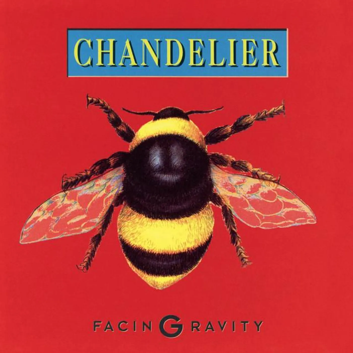 Chandelier