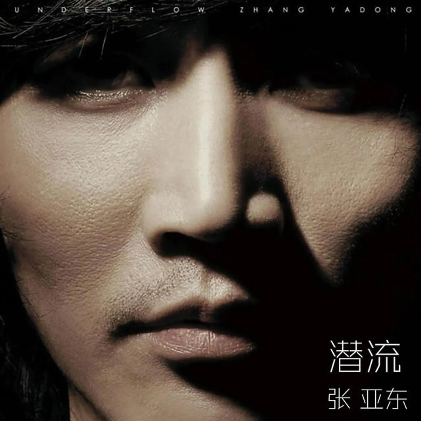 Chang Ya Tung