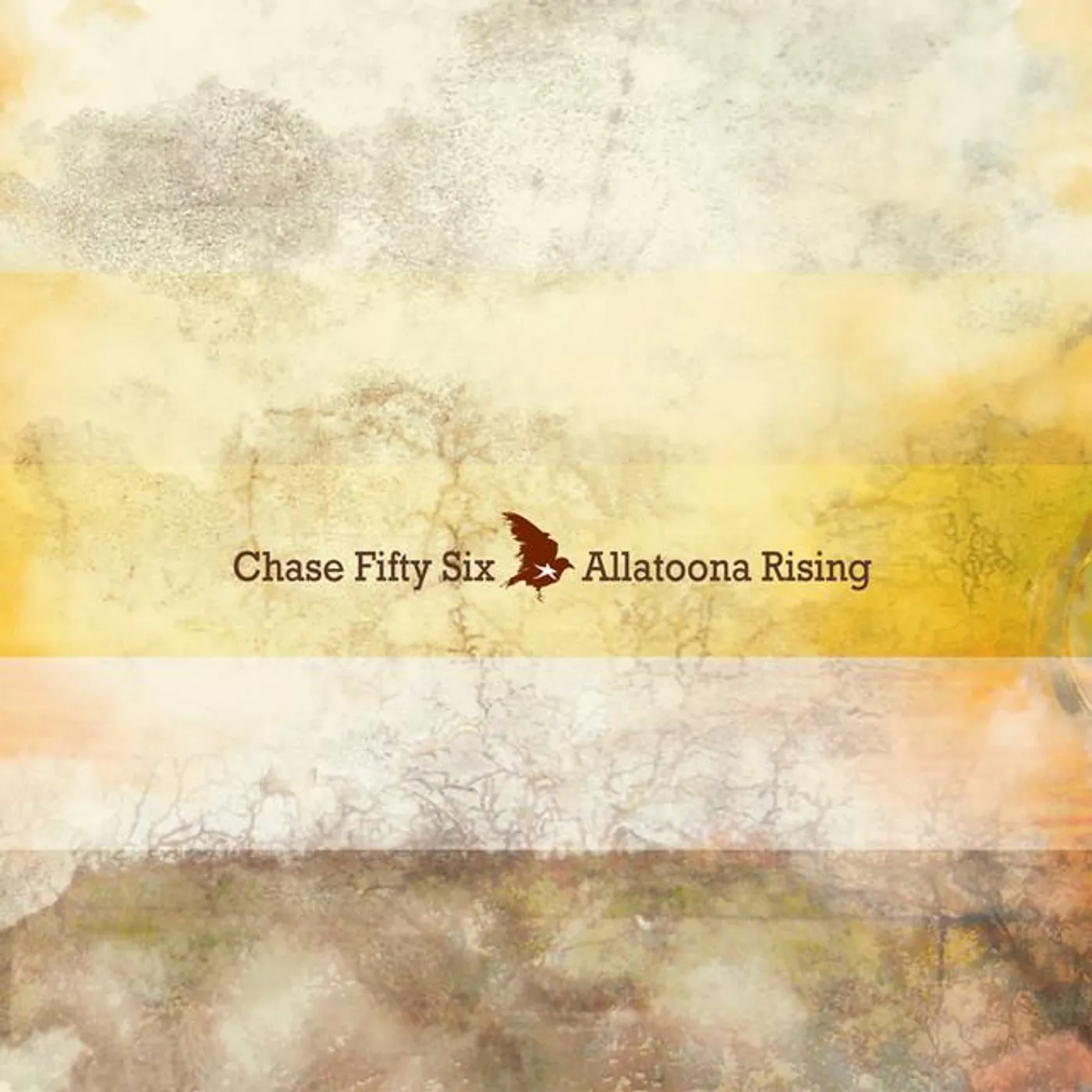 Chase Fifty Six Brand Page