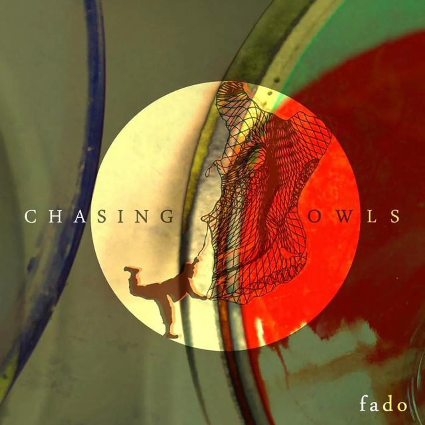 Chasing Owls