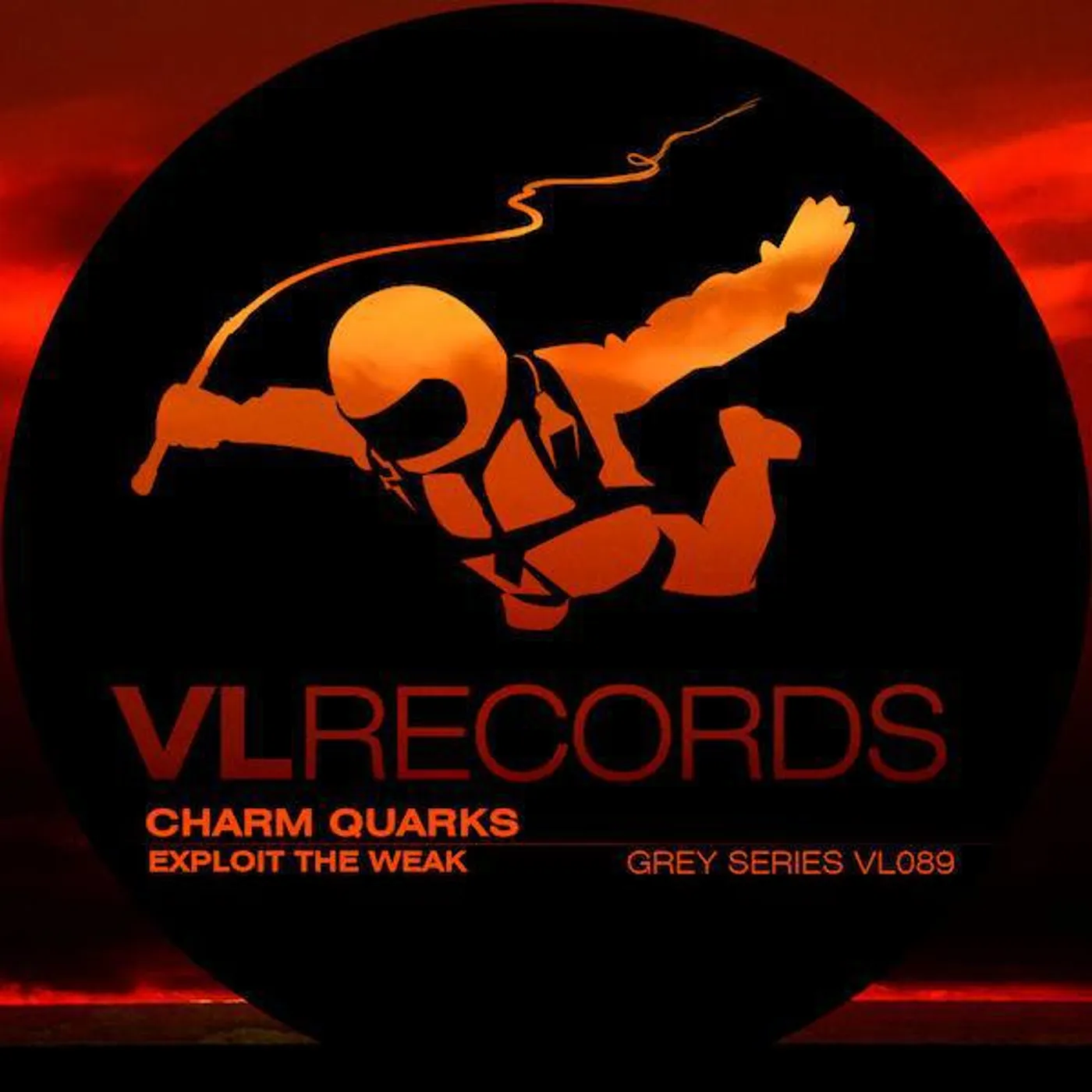 Charm Quarks
