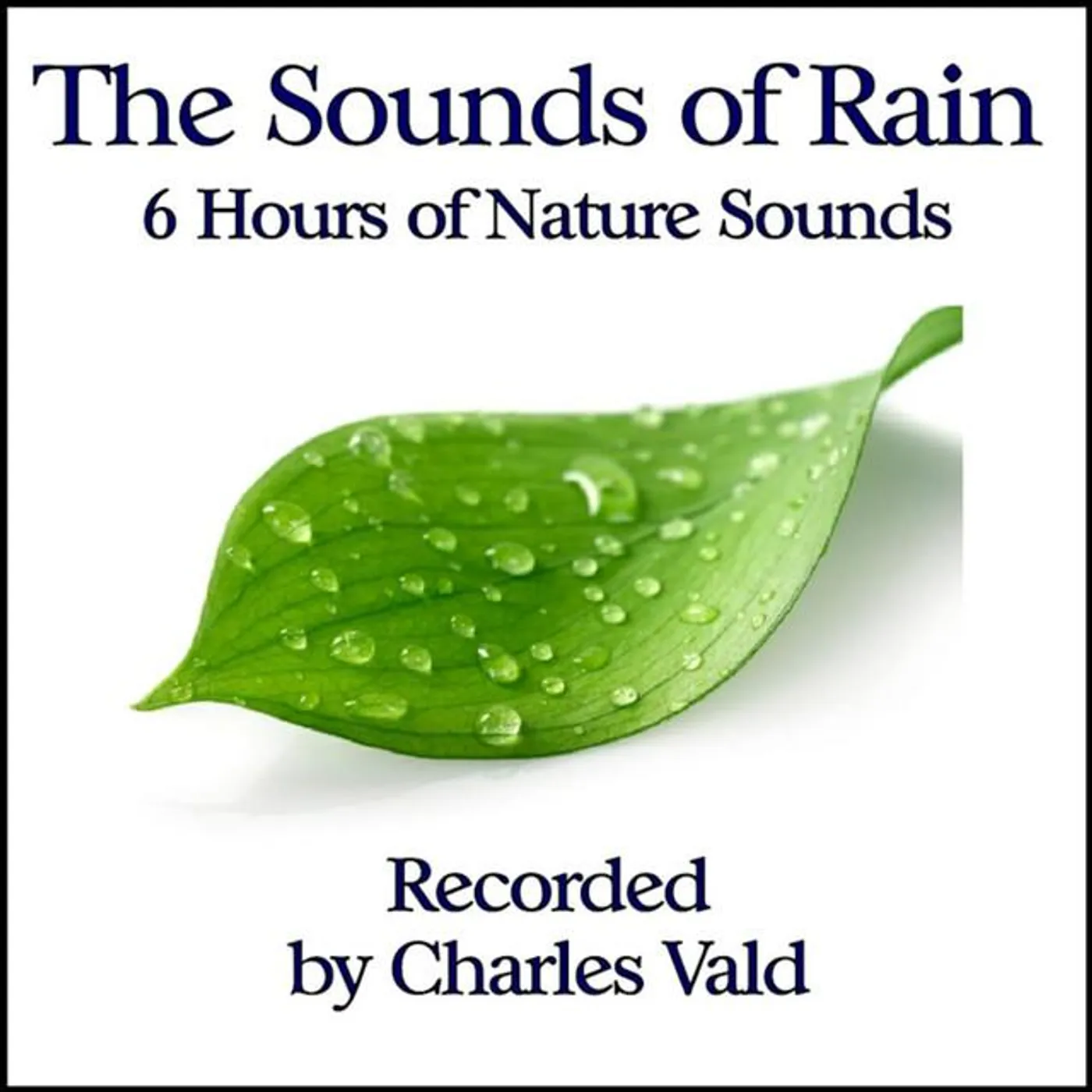 Charles Vald Brand Page