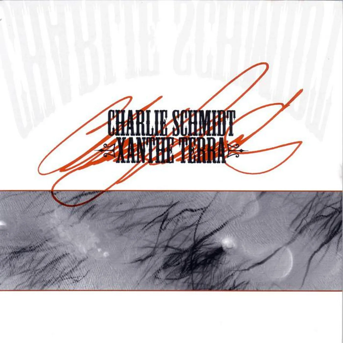Charlie Schmidt