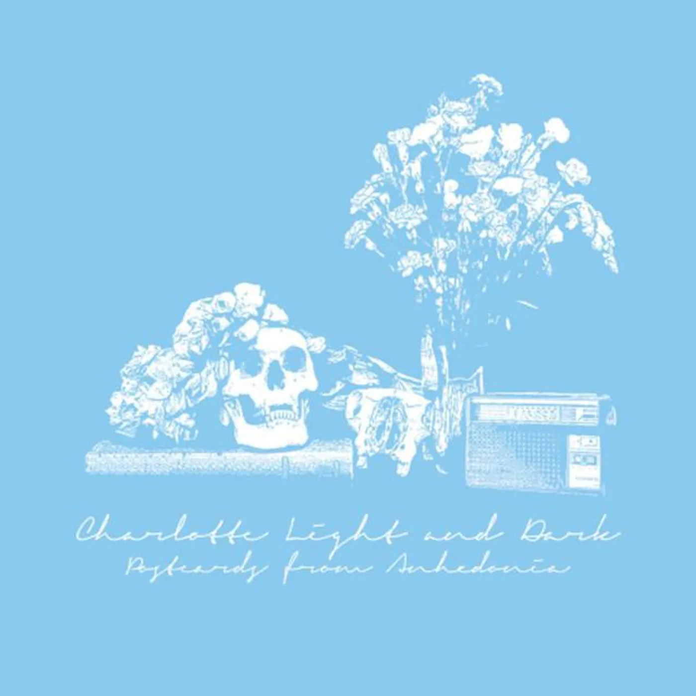 Charlotte Light and Dark