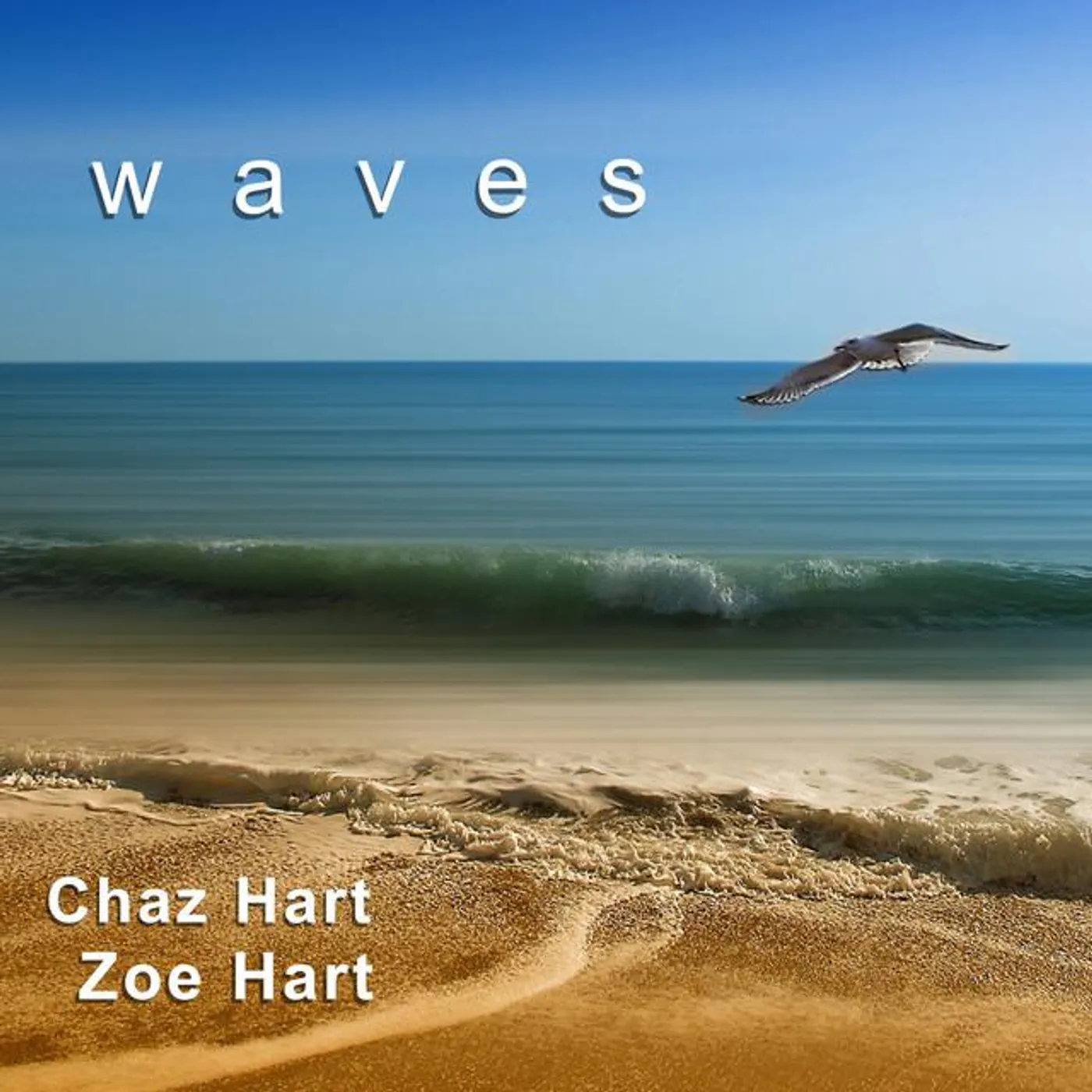 Chaz Hart Brand Page