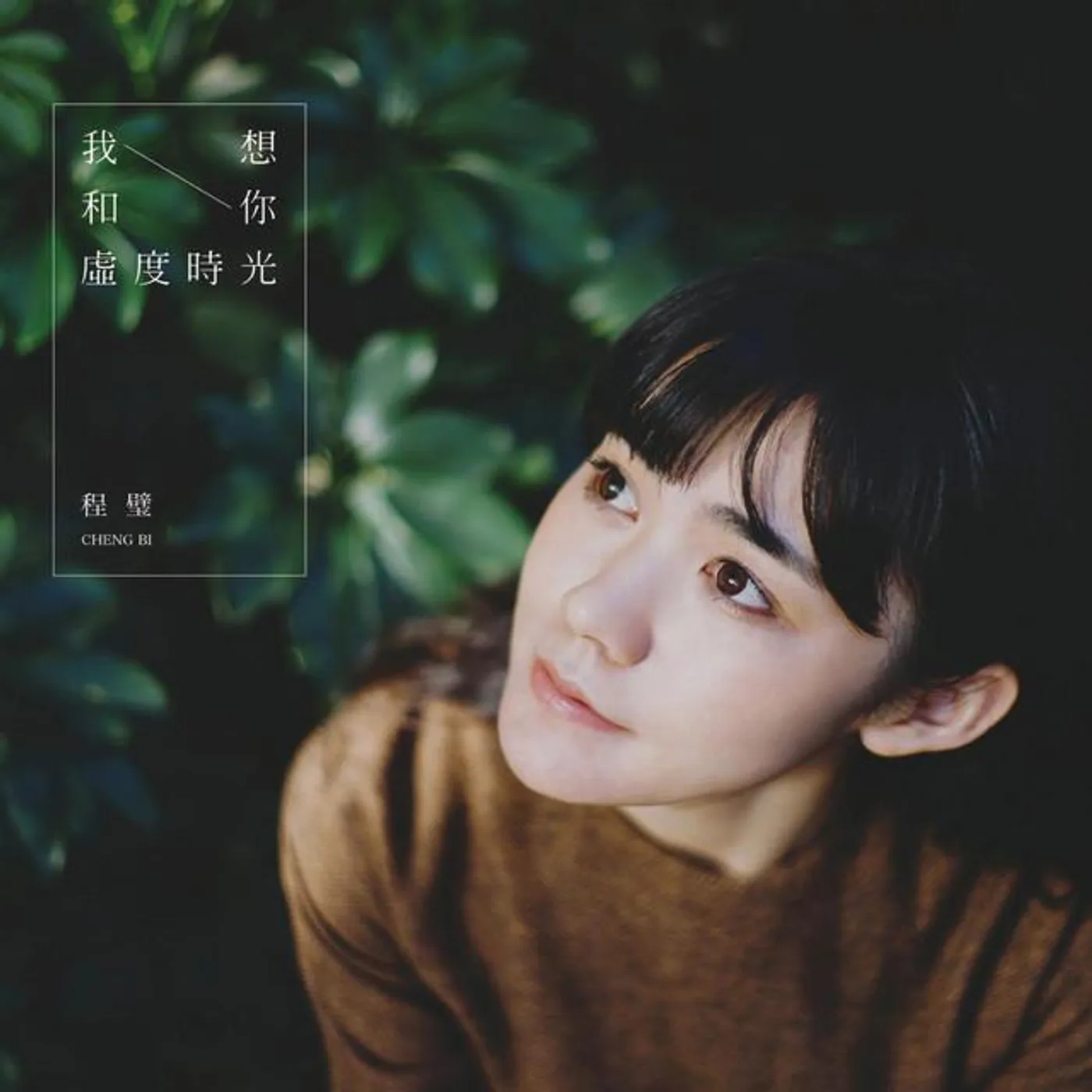 Cheng Bi Brand Page