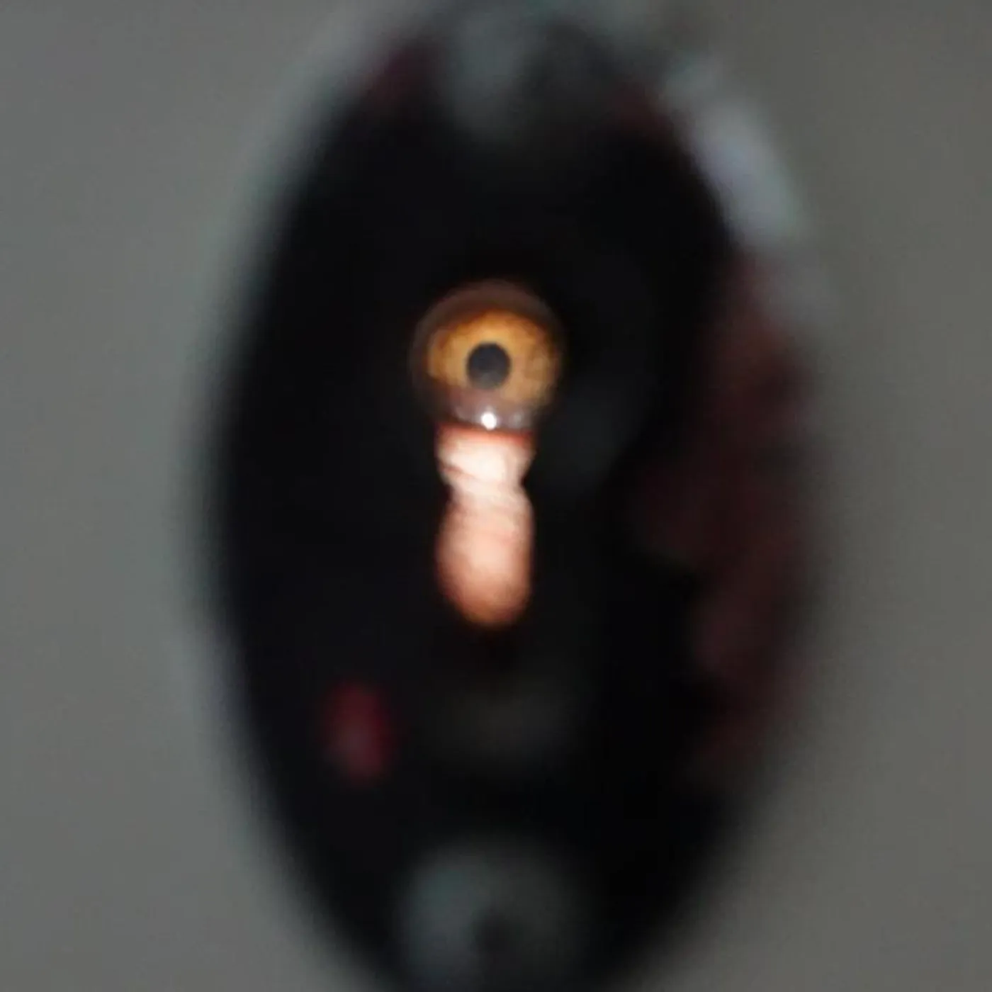 Chief Ghoul Brand Page