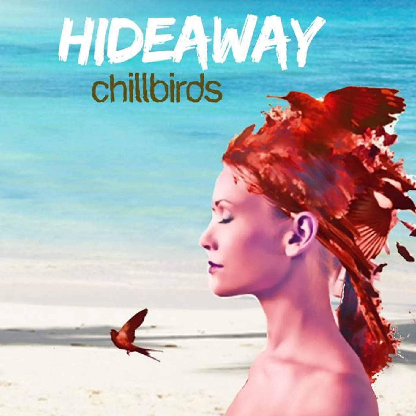 Chillbirds Brand Page