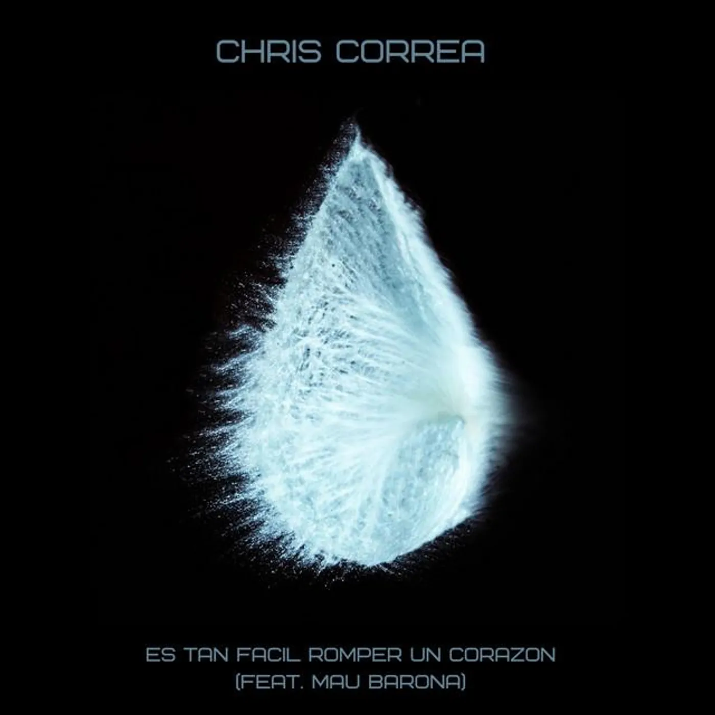 Chris Correa