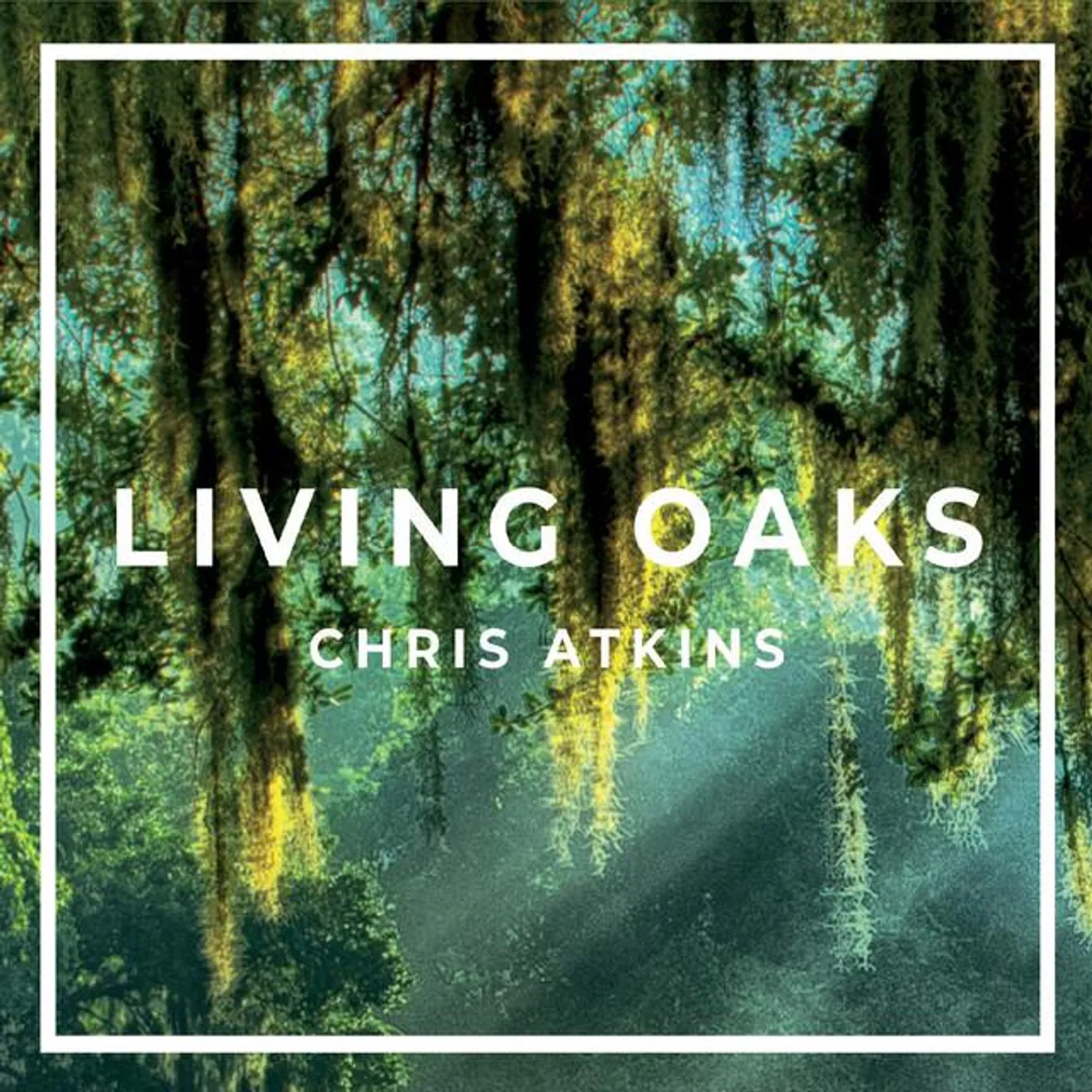 Chris Atkins
