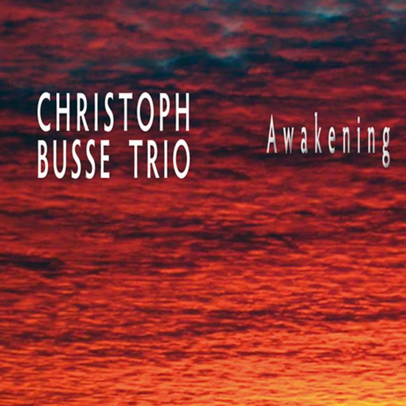 Christoph Busse Trio