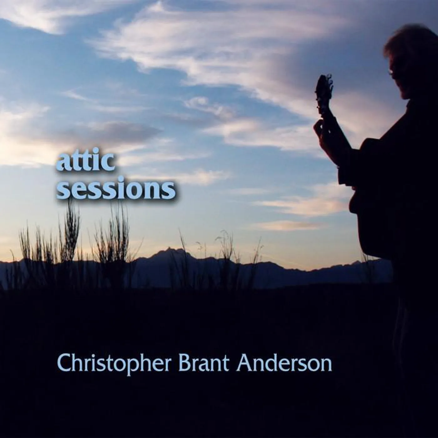 Christopher Brant Anderson