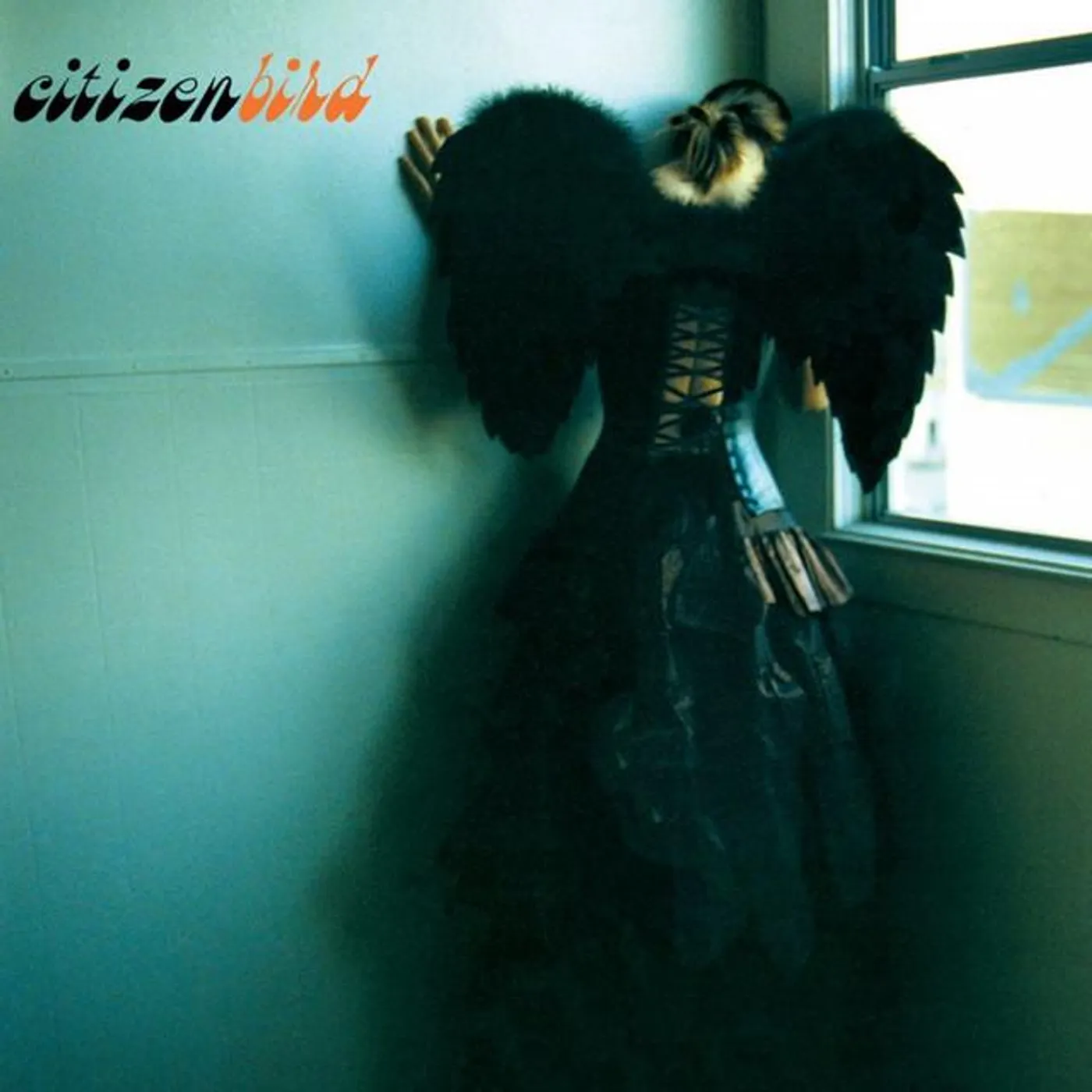 Citizen Bird
