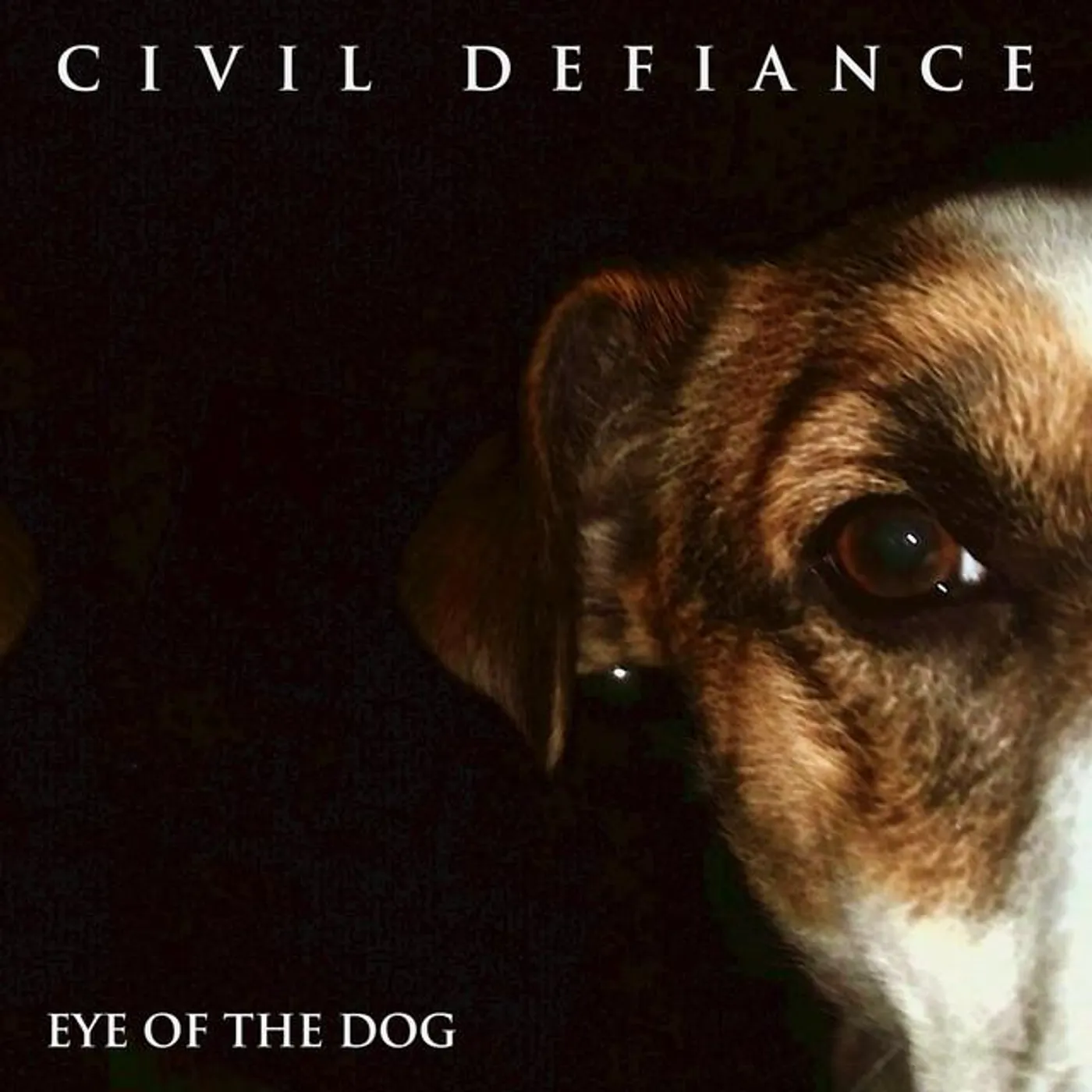 Civil Defiance