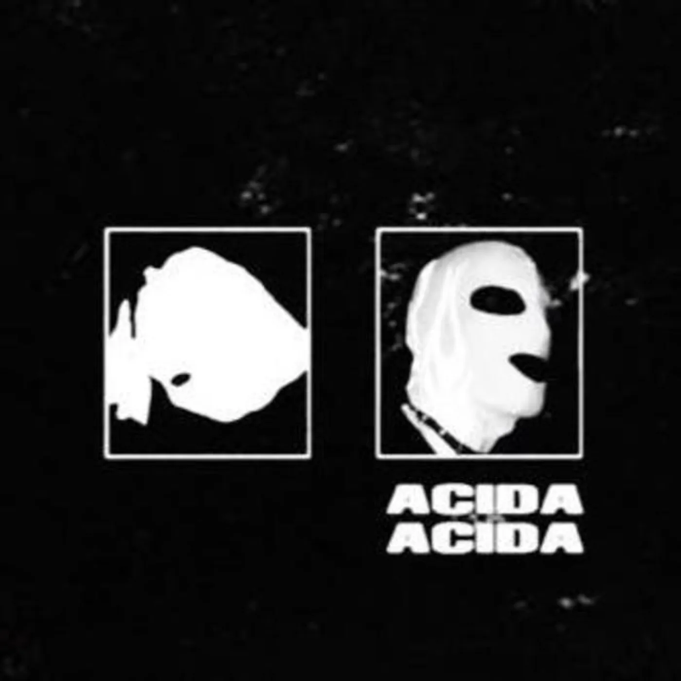 ÁCIDA ÁCIDA