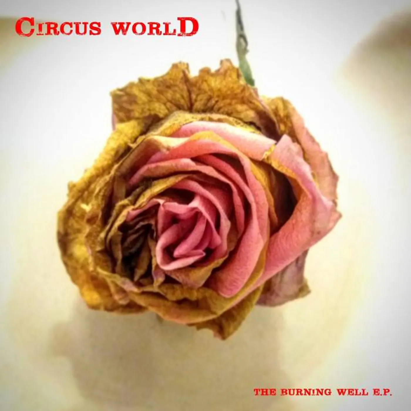 Circus worlD
