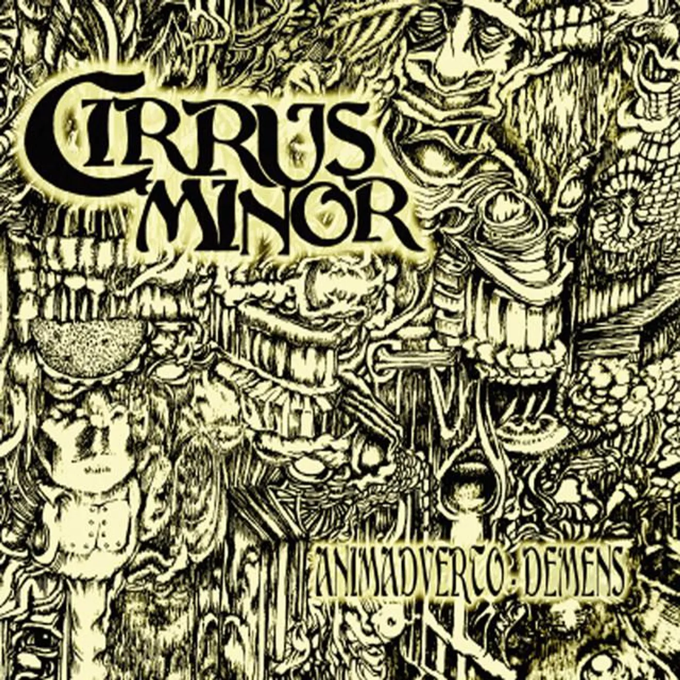 Cirrus Minor