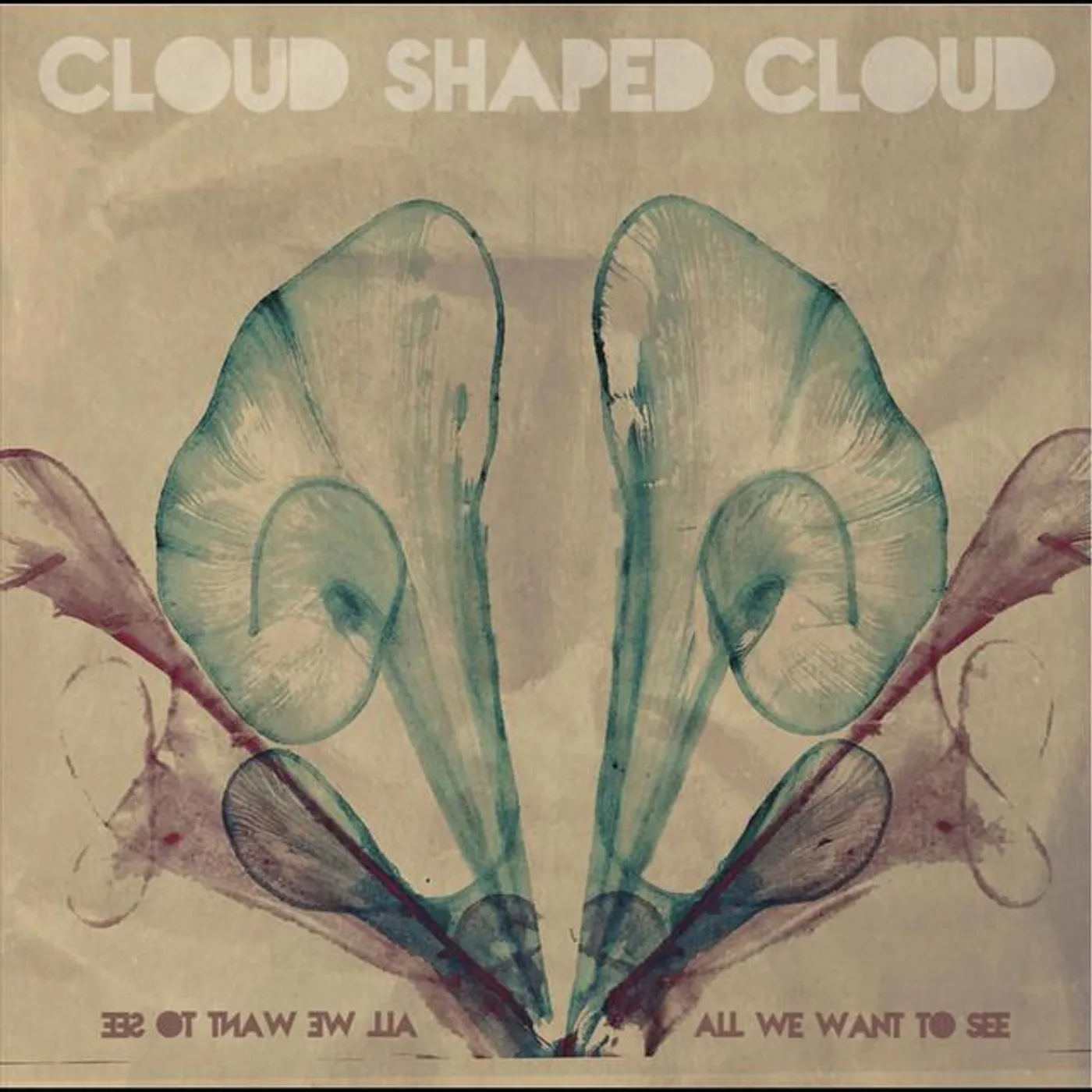 Cloud Shaped Cloud