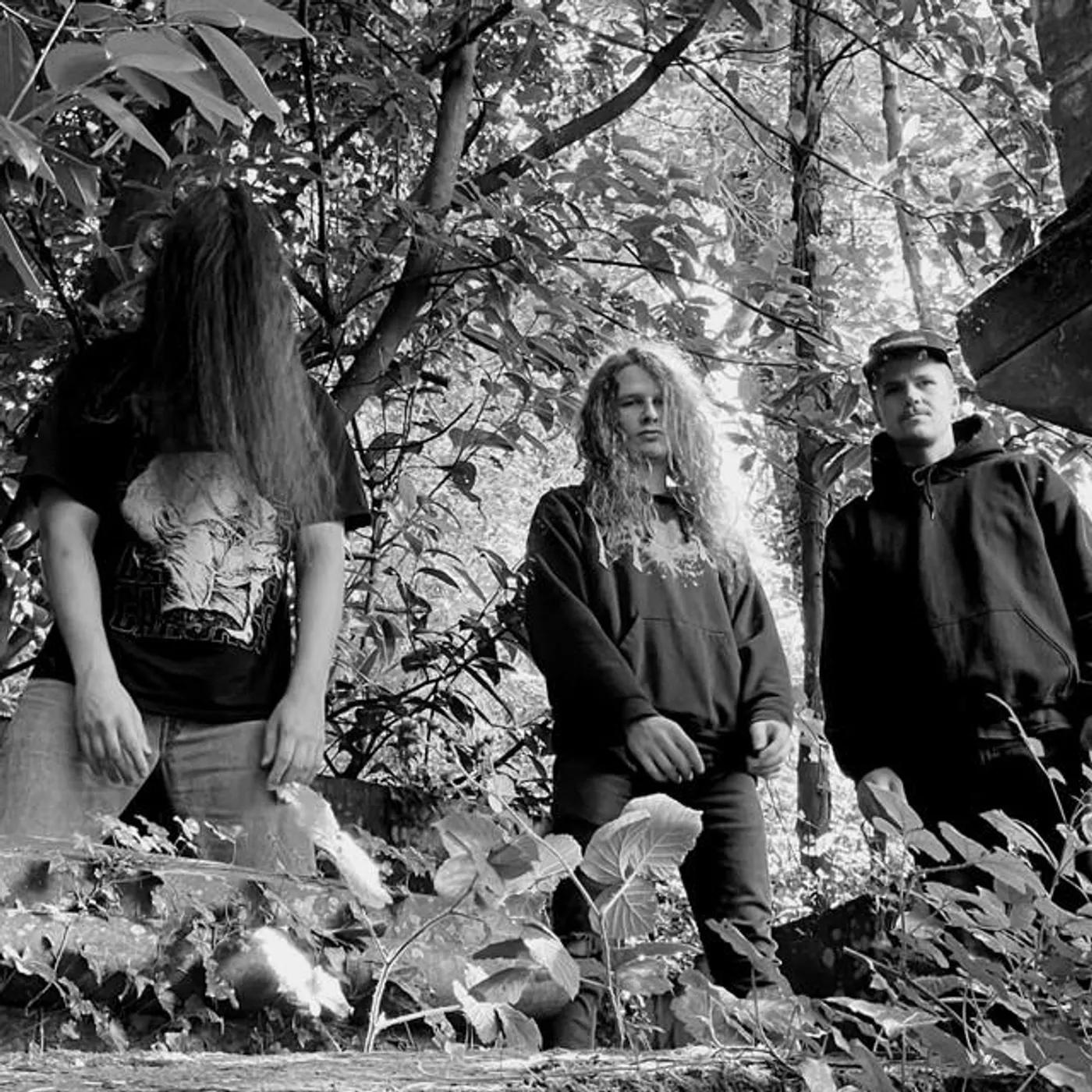 Cryptworm Brand Page