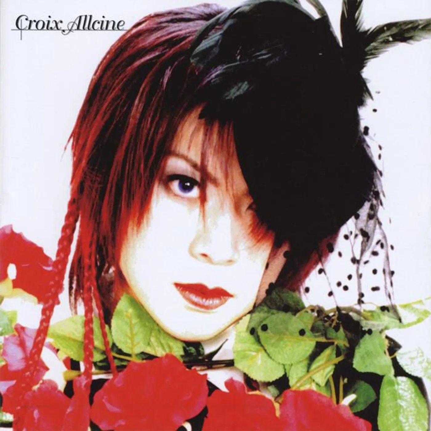 Croix Allcine Brand Page