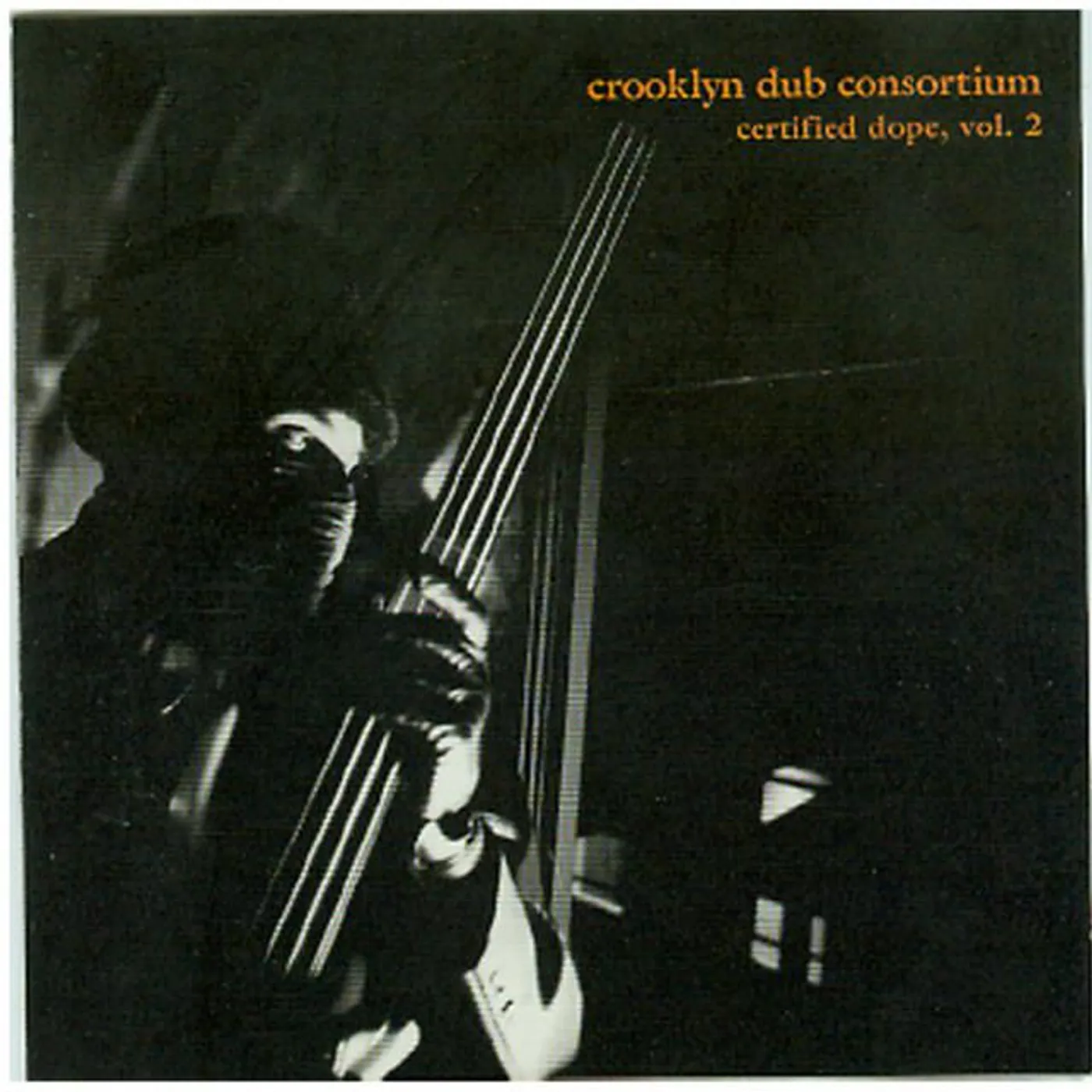 Crooklyn Dub Consortium