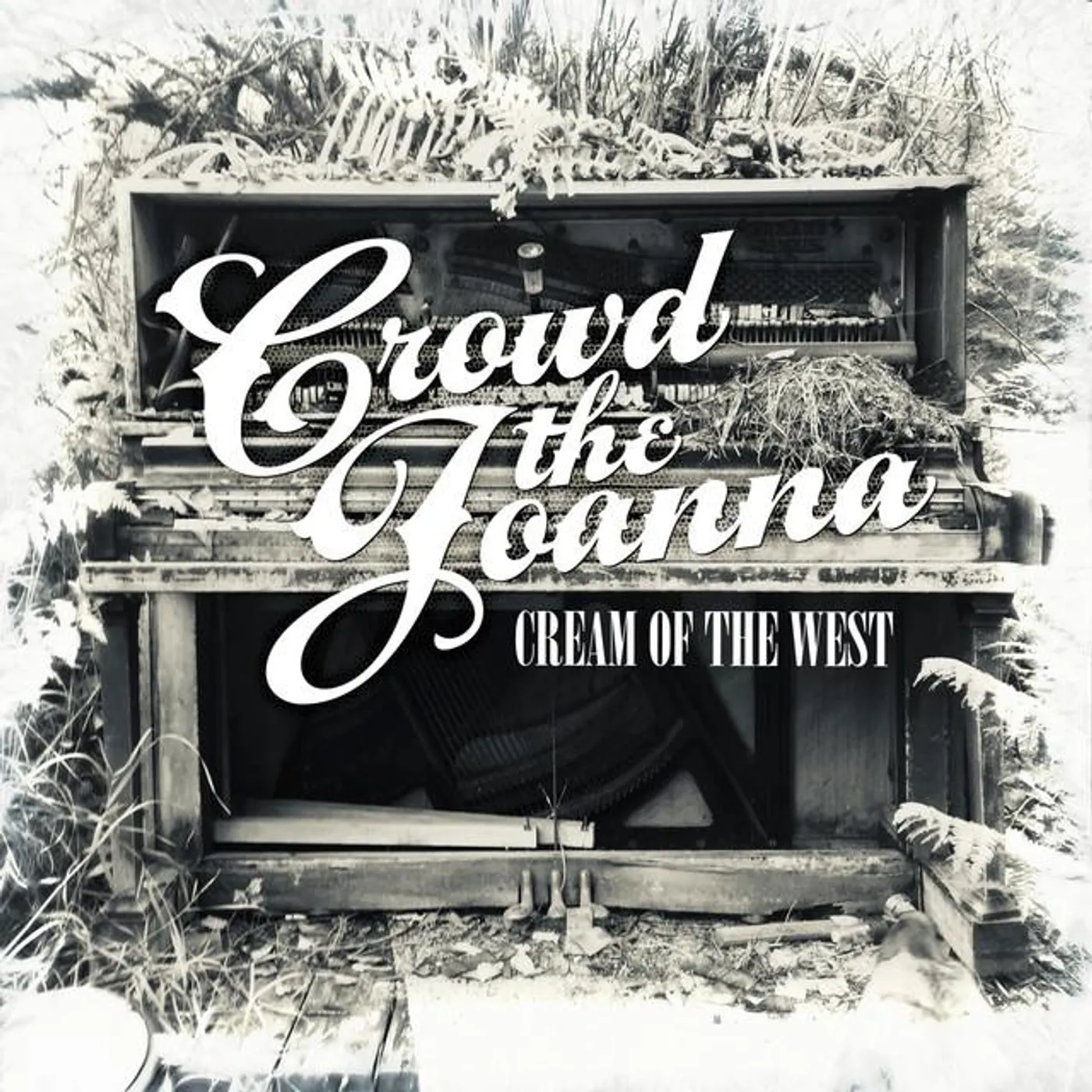 Crowd the Joanna Brand Page