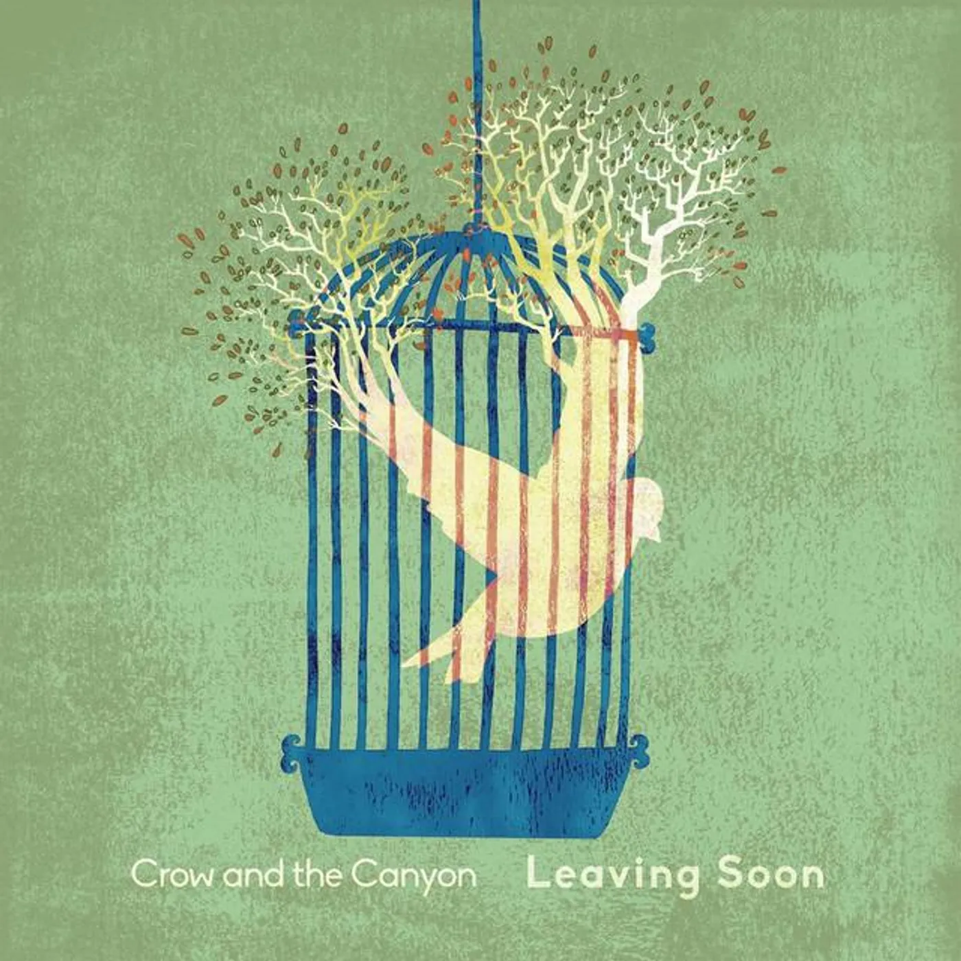 Crow and the Canyon