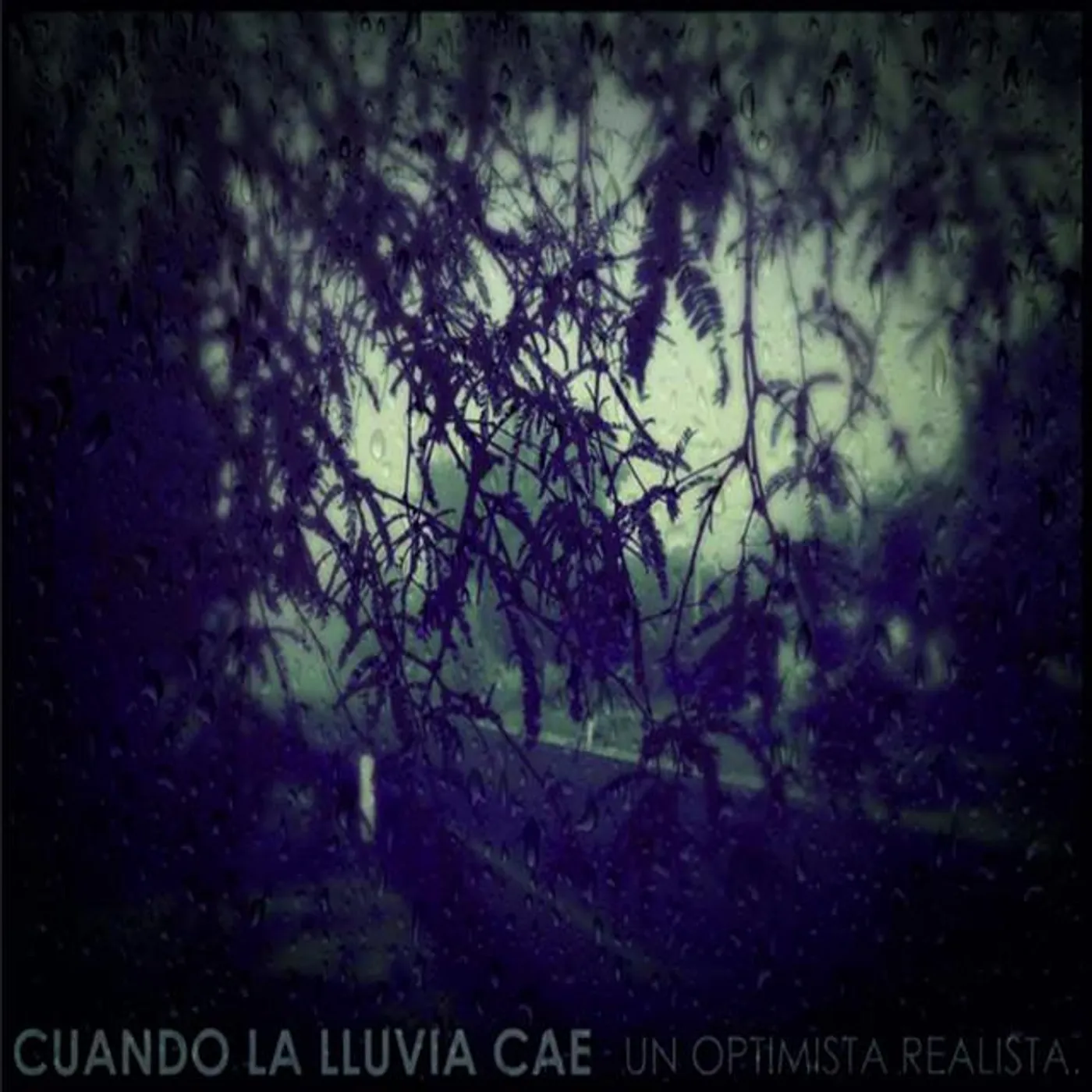 Cuando la Lluvia Cae