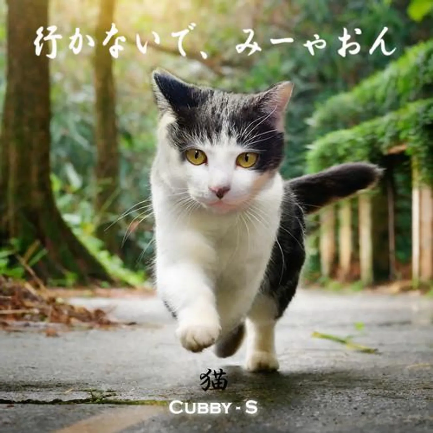 Cubby-S Brand Page