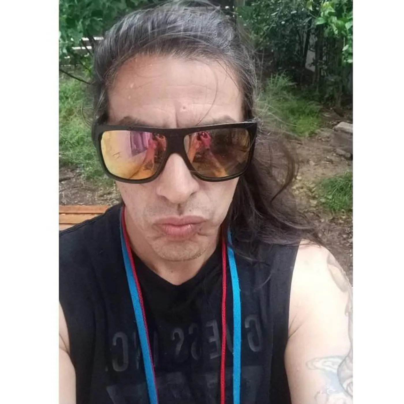 Cucsifae