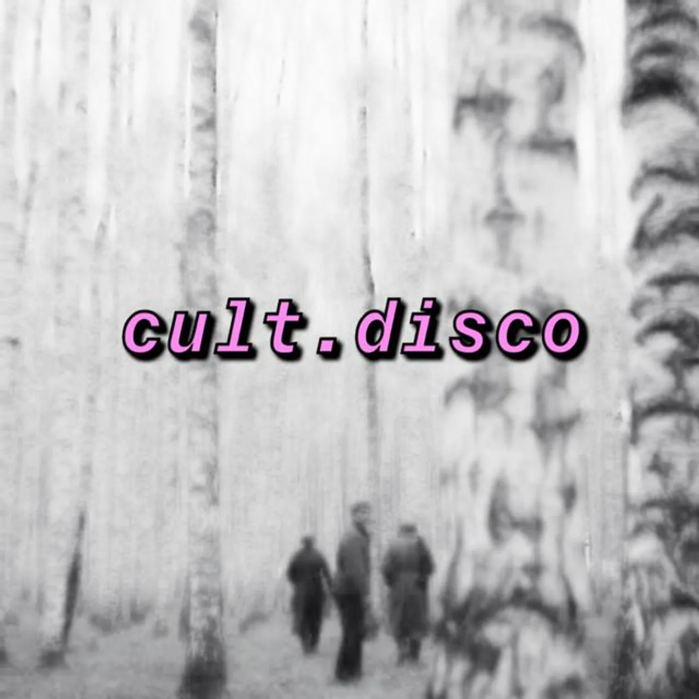 cult.disco Brand Page