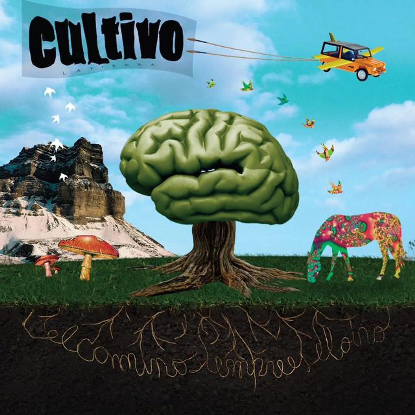 Cultivolatierra
