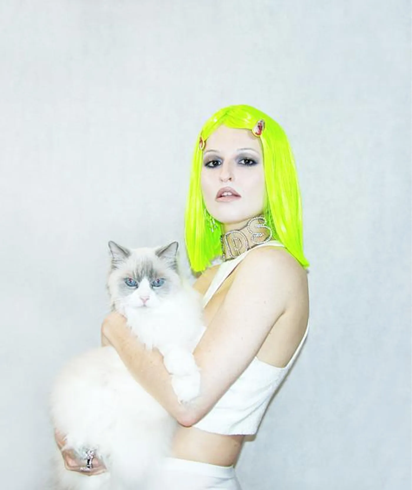 CULTTASTIC