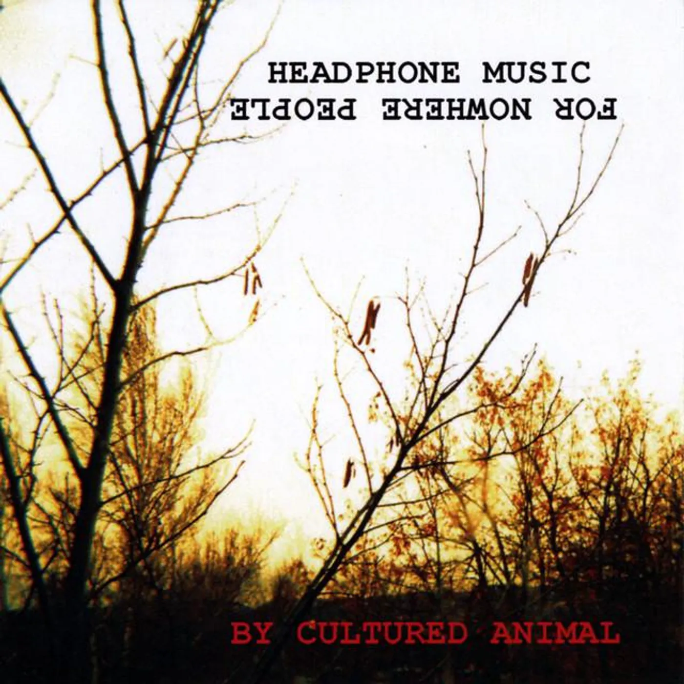 Cultured Animal