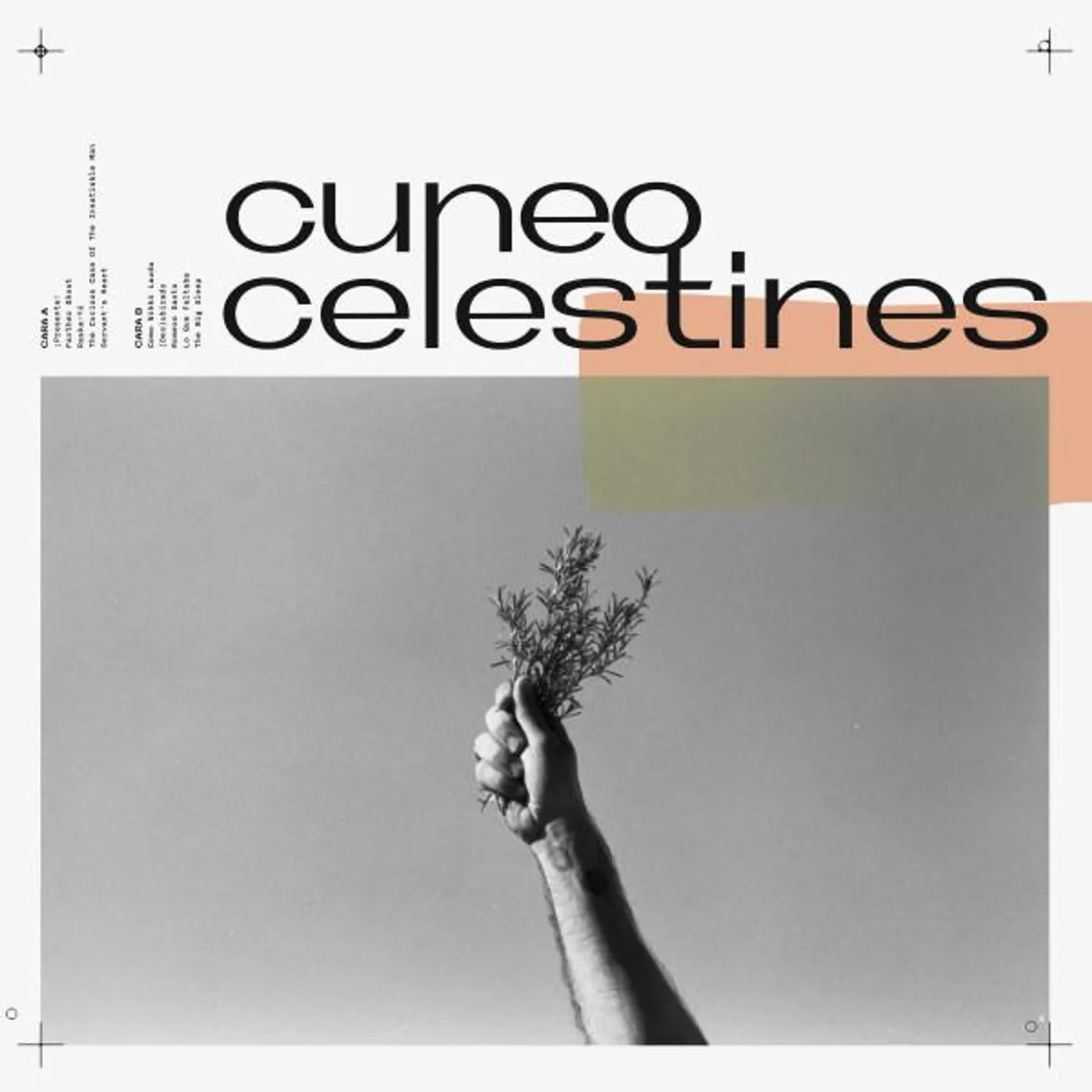 Cuneo