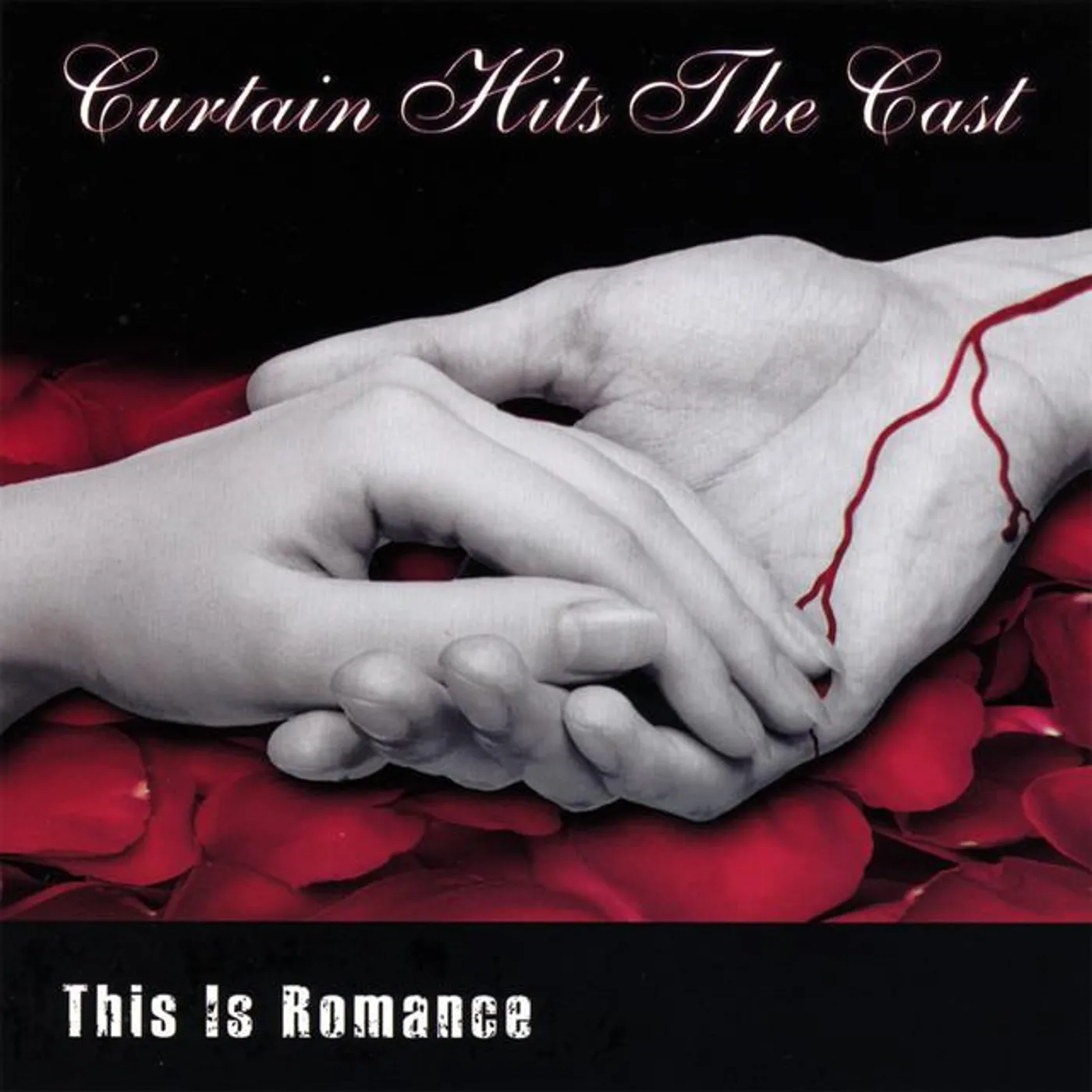 Curtain Hits The Cast