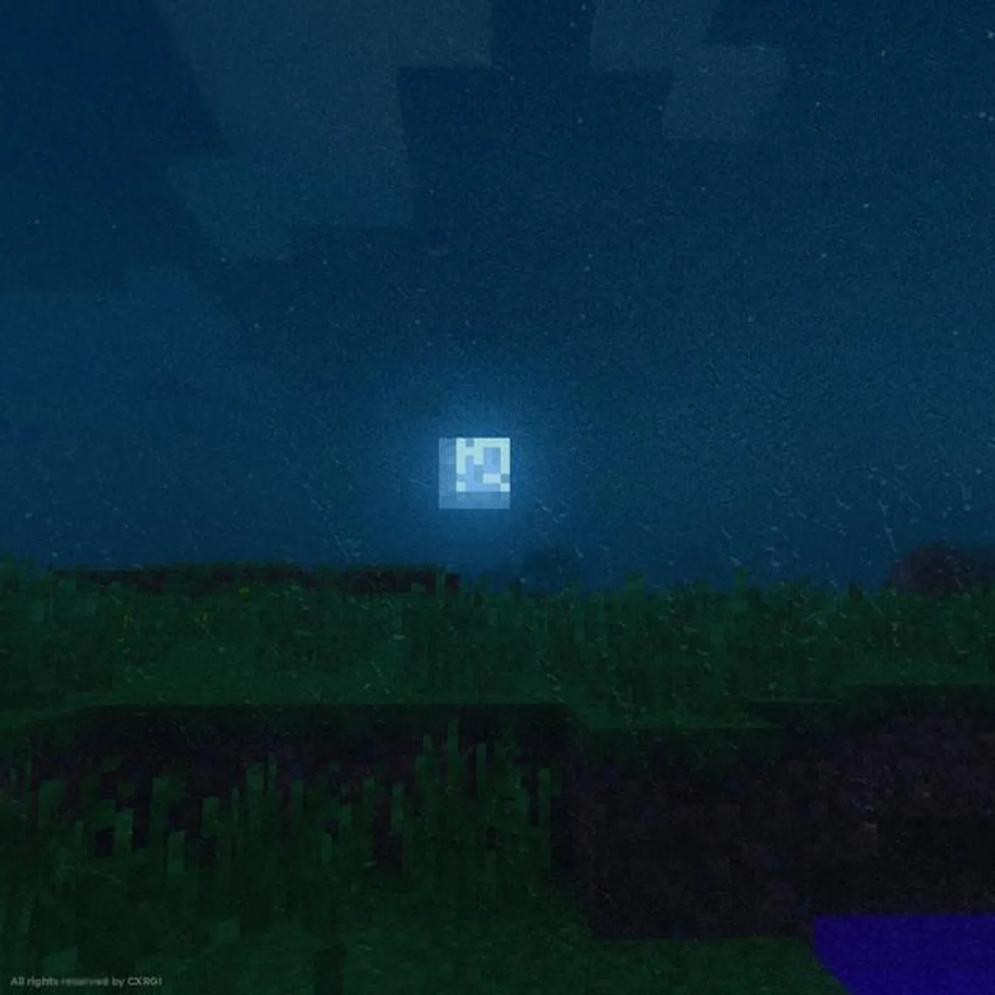 CXRGI