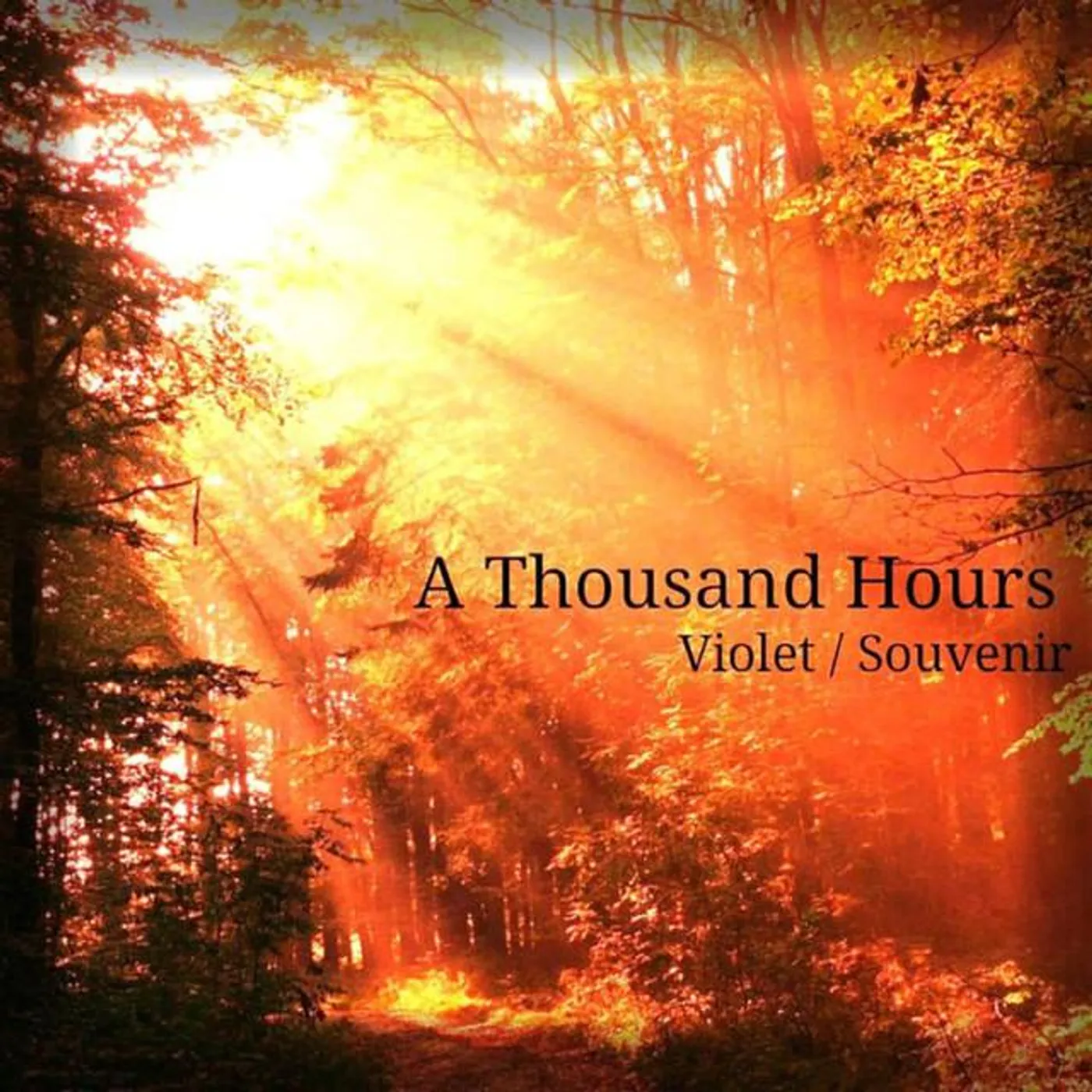 A Thousand Hours