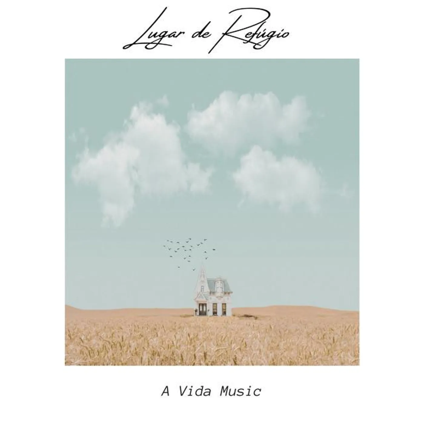 A Vida Music