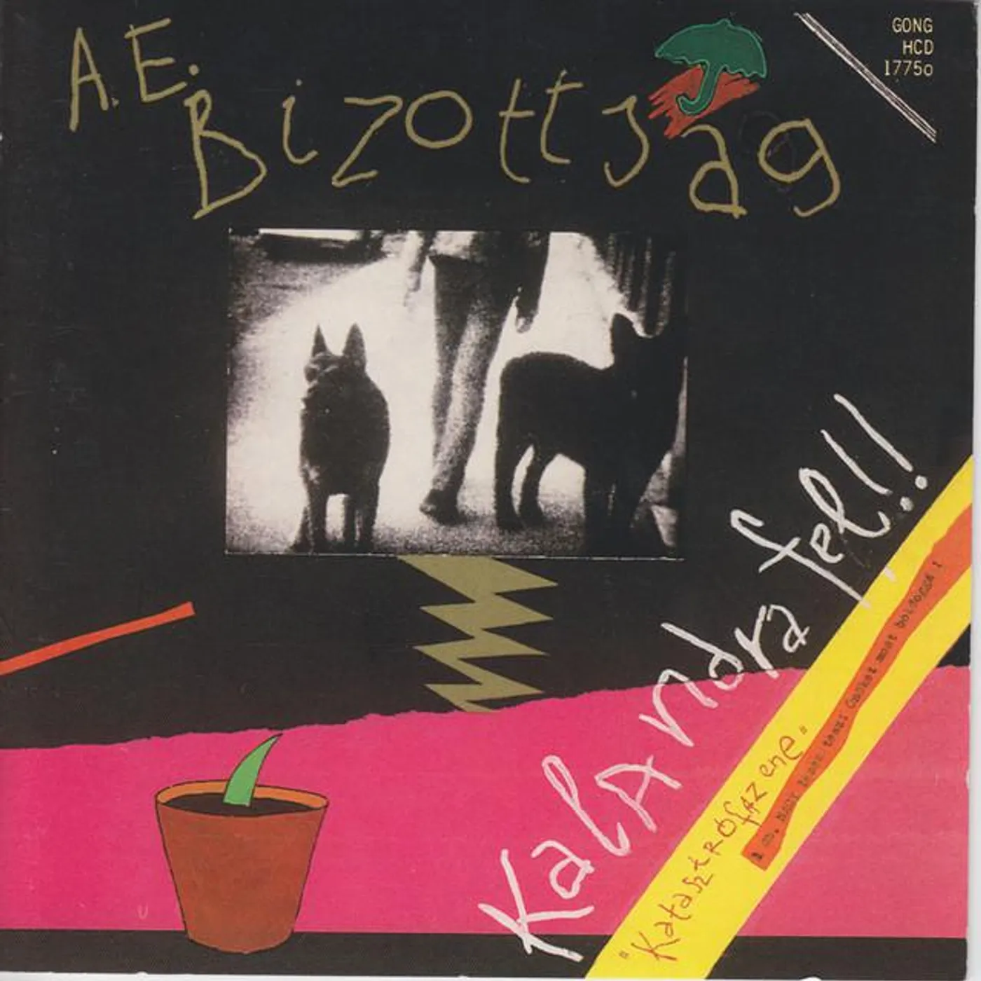 A.E. Bizottsag