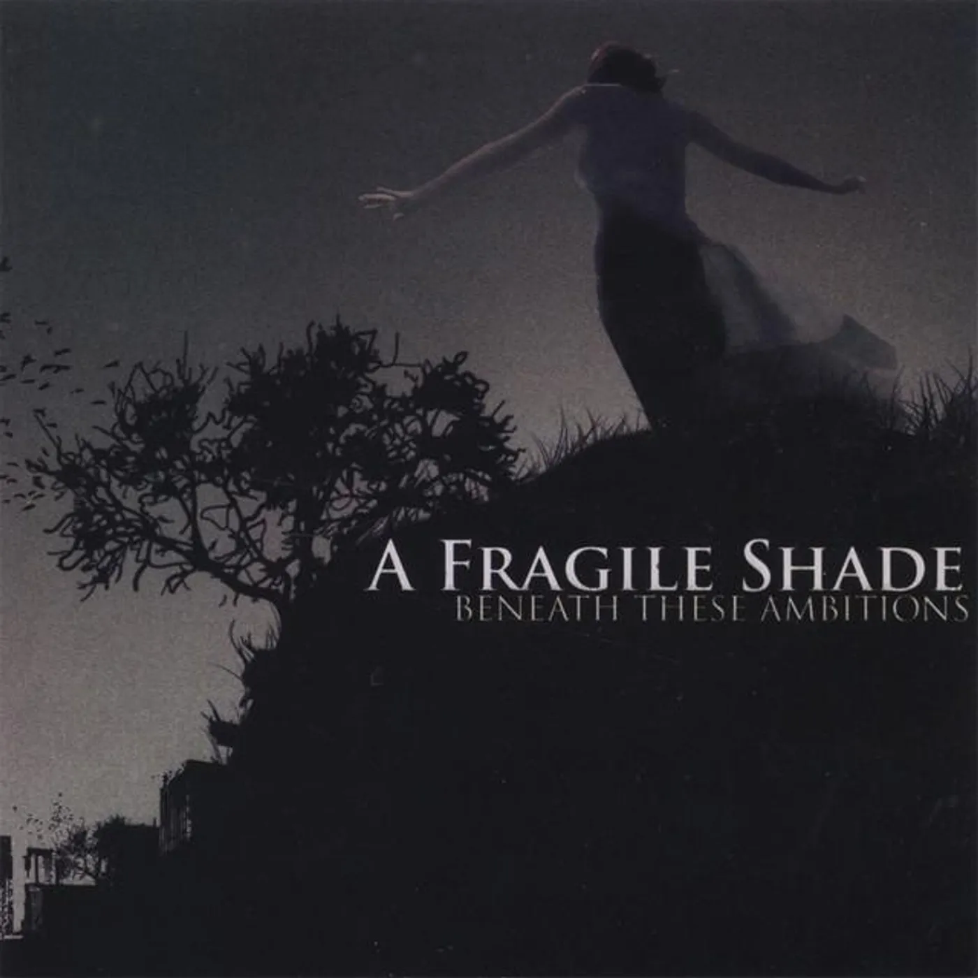 A Fragile Shade Brand Page