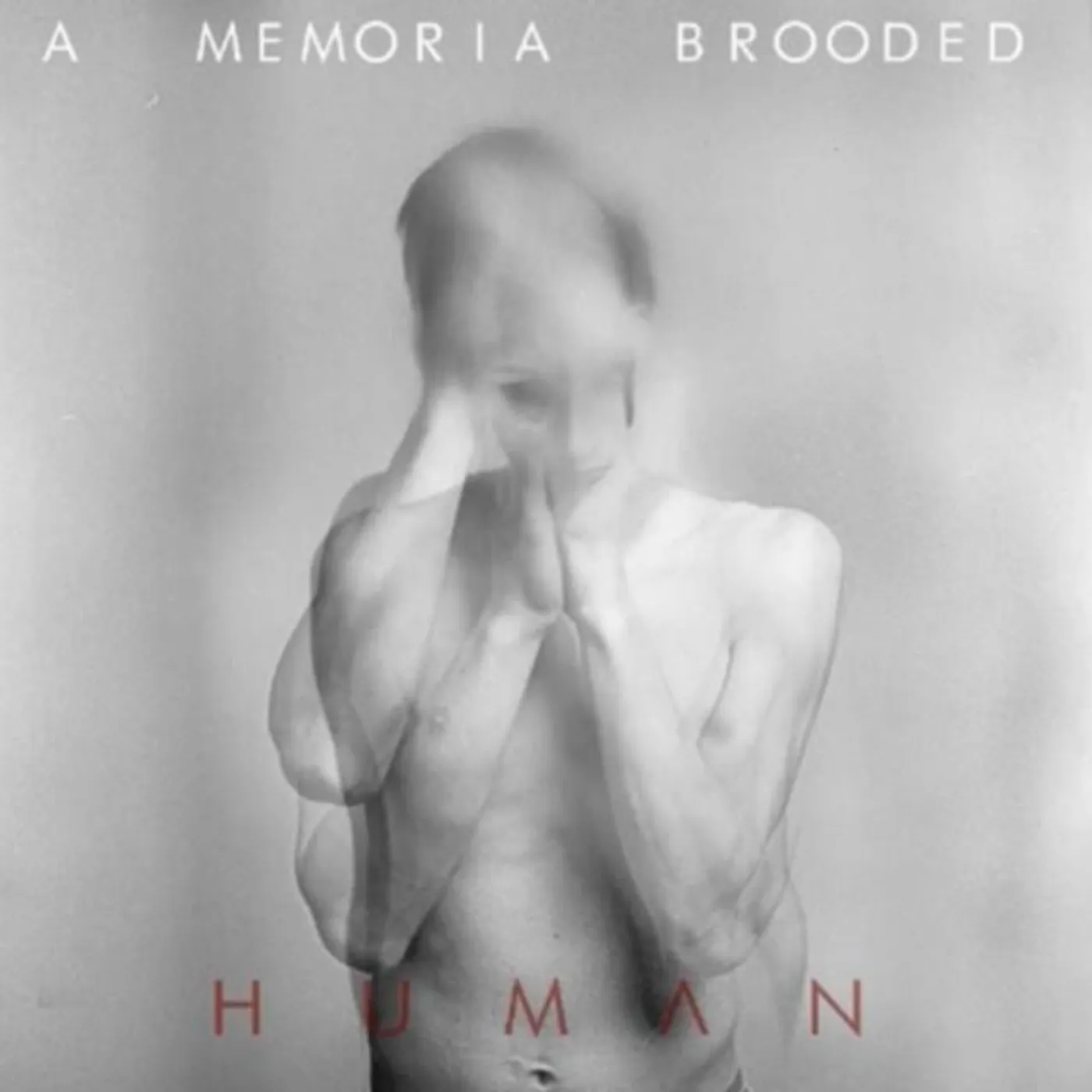 A Memoria Brooded