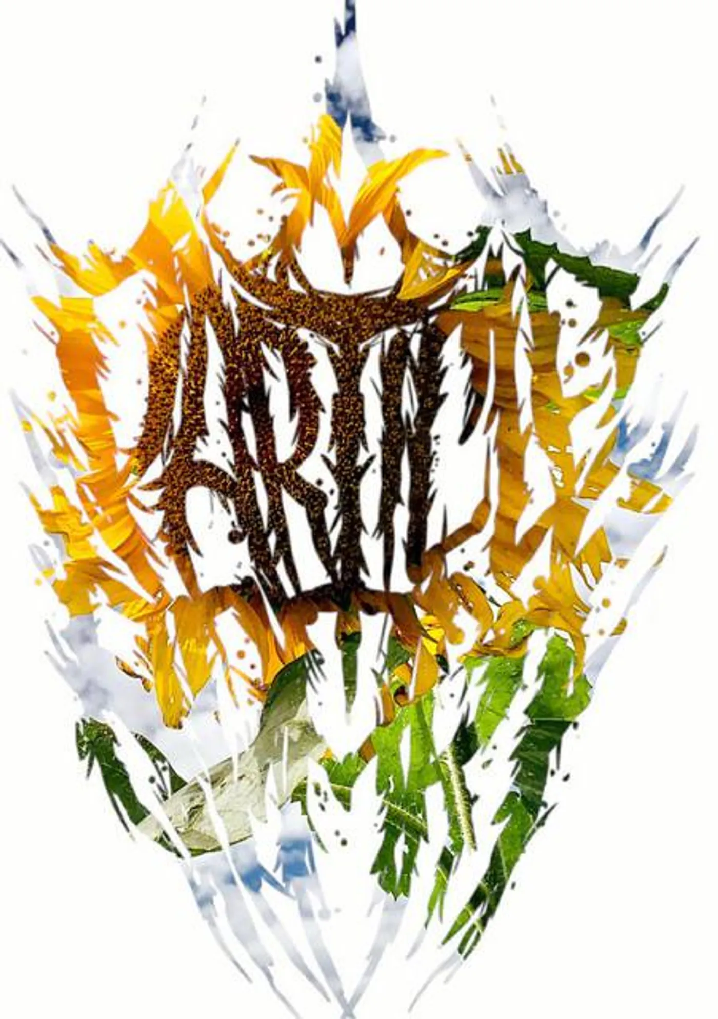 A Particle Apart