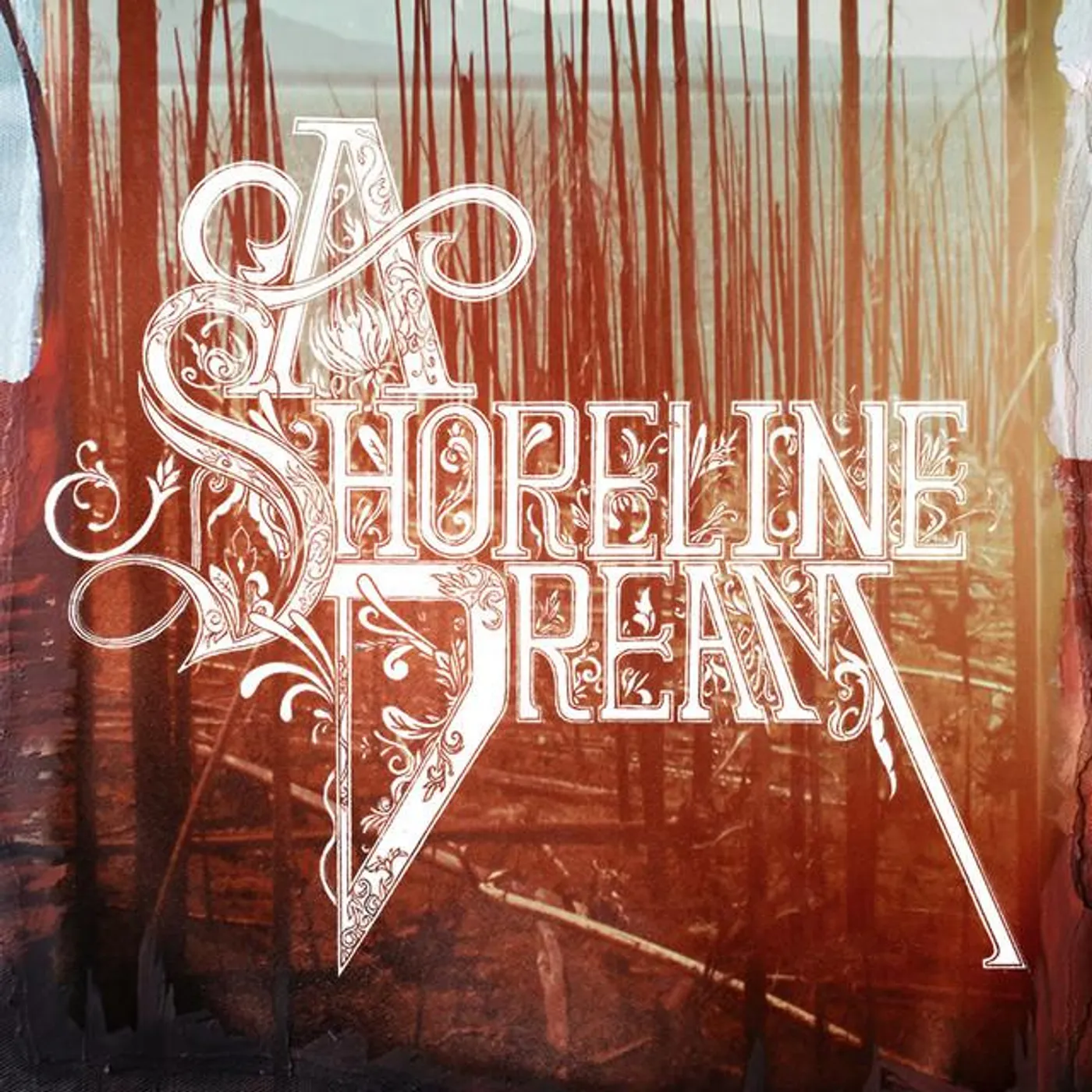 A Shoreline Dream Brand Page