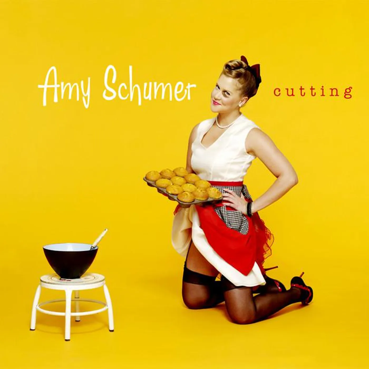 Amy Schumer Brand Page