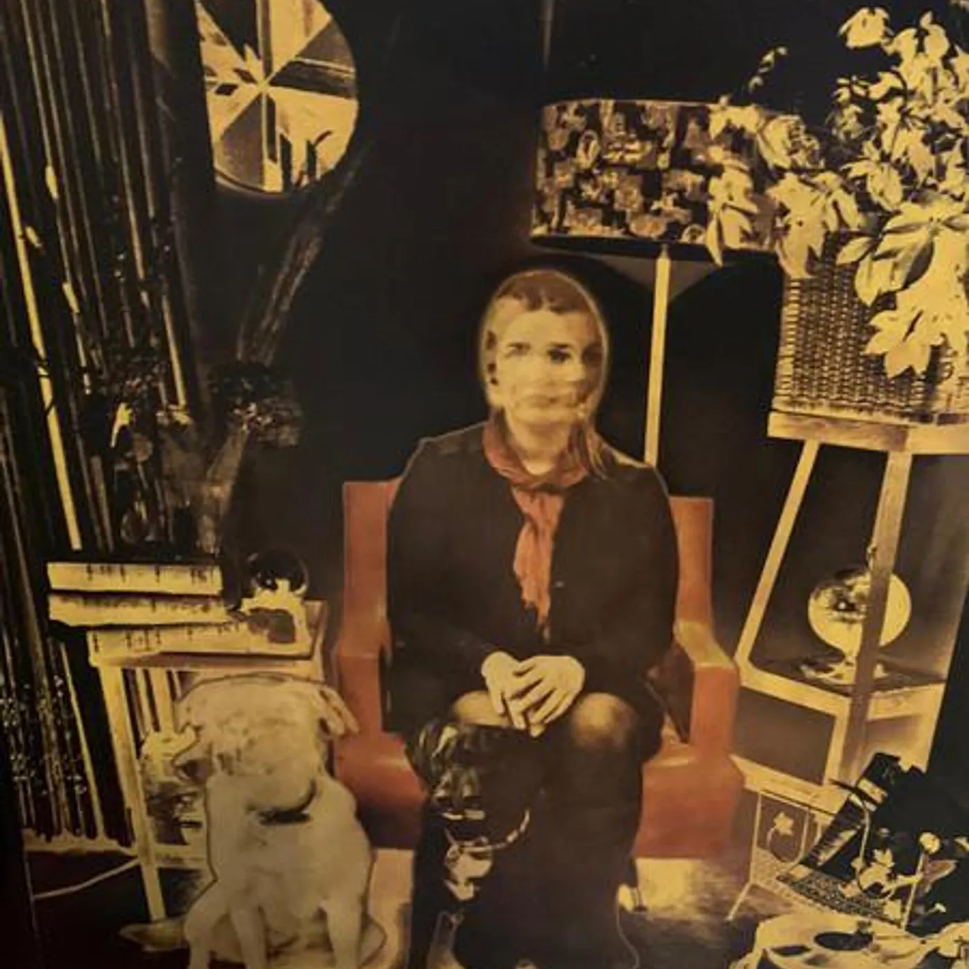 Amy van Keeken Brand Page