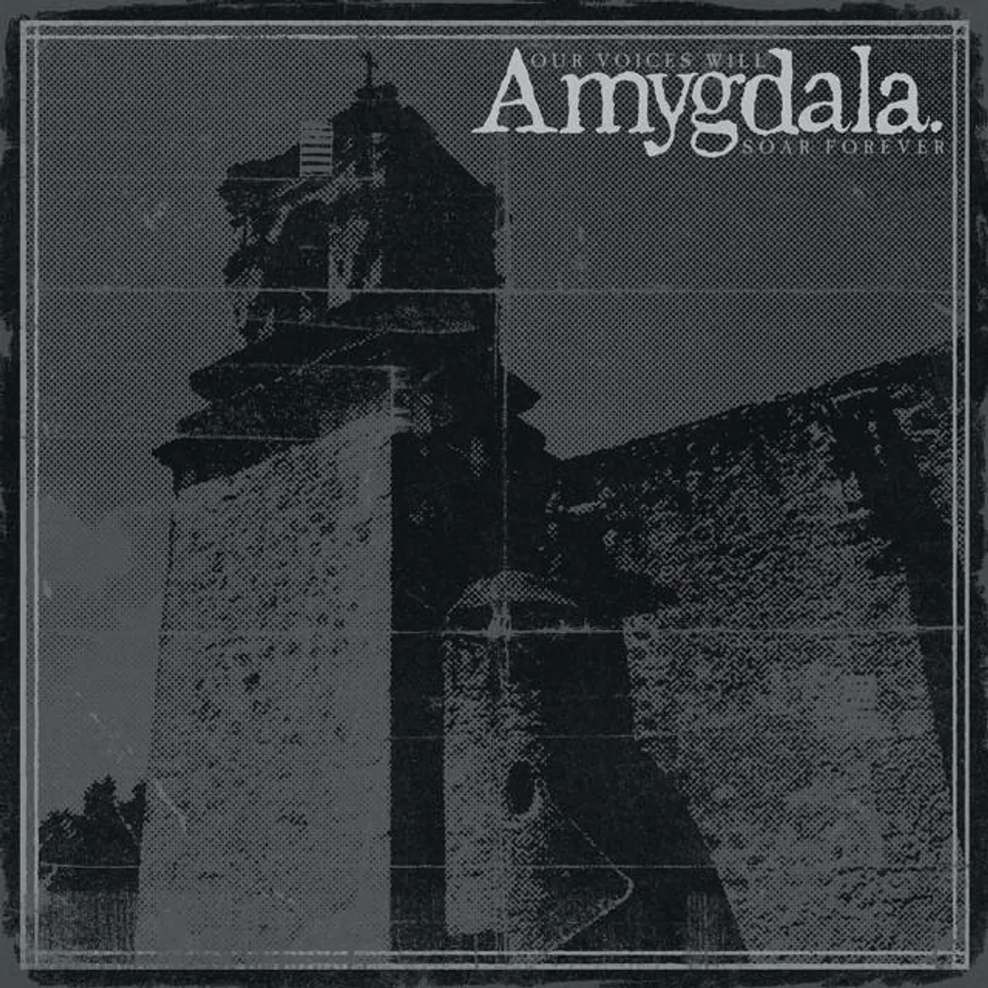 Amygdala
