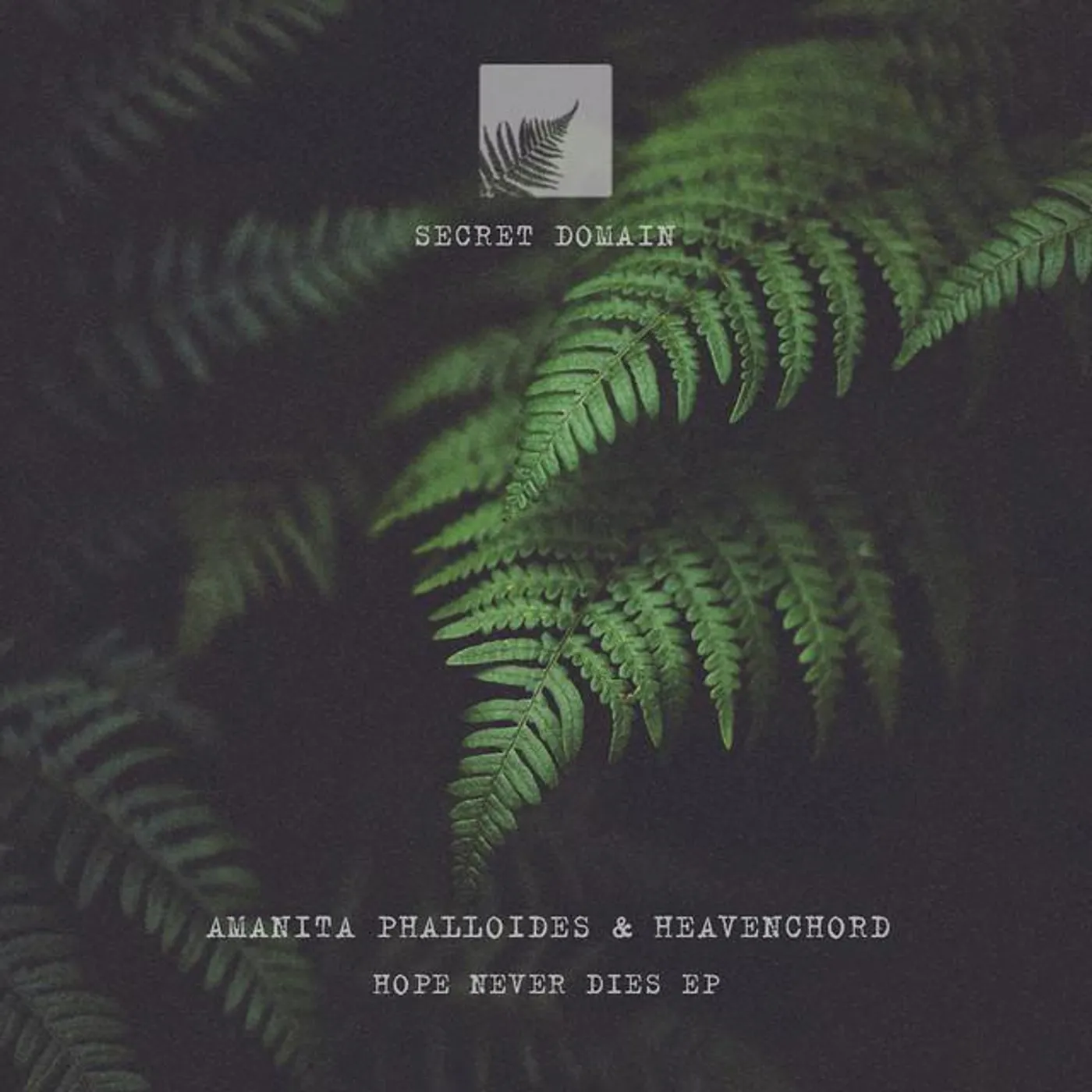 Amanita Phalloides Brand Page