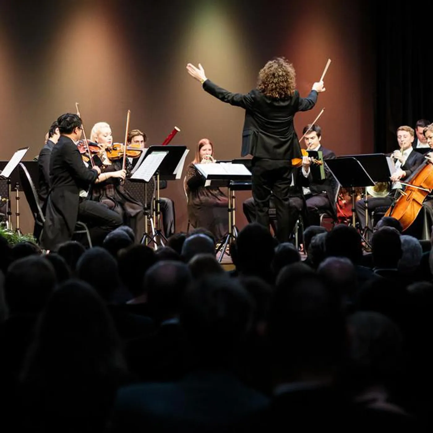 Ambassade Orchester Wien
