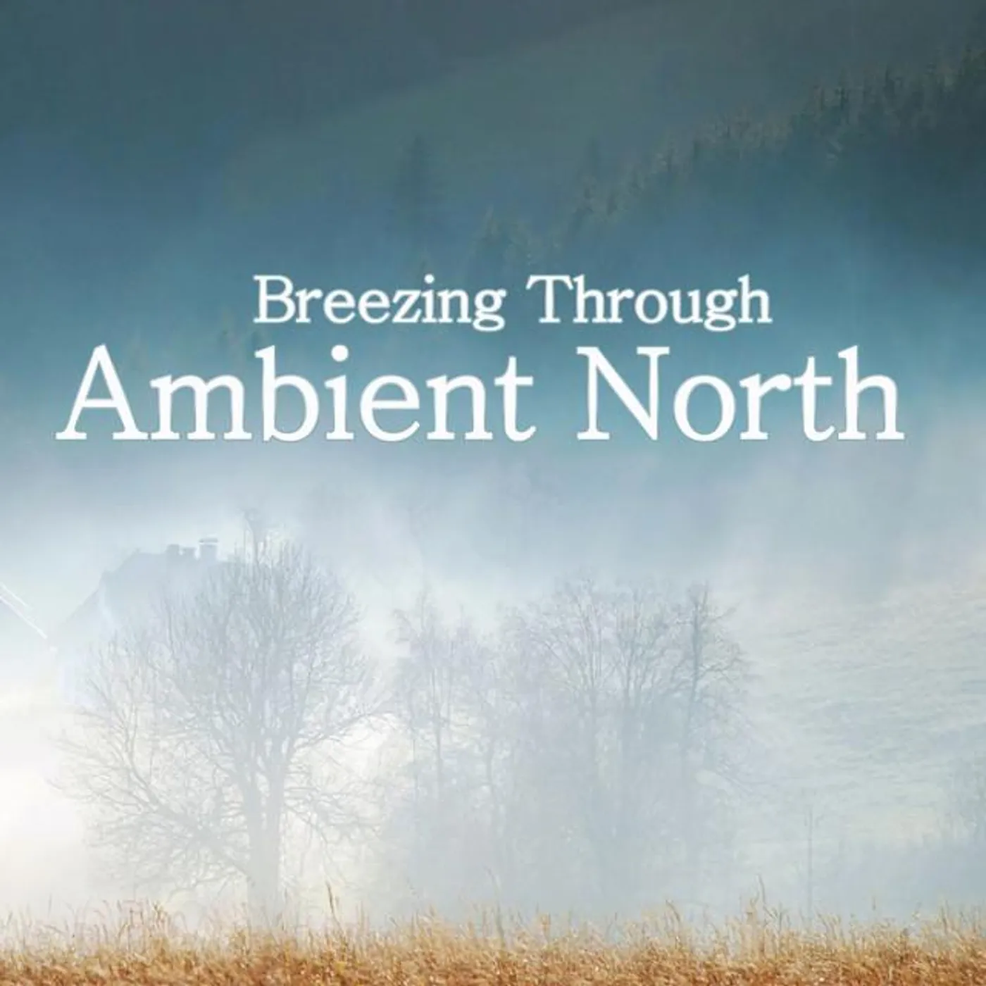 Ambient North Brand Page